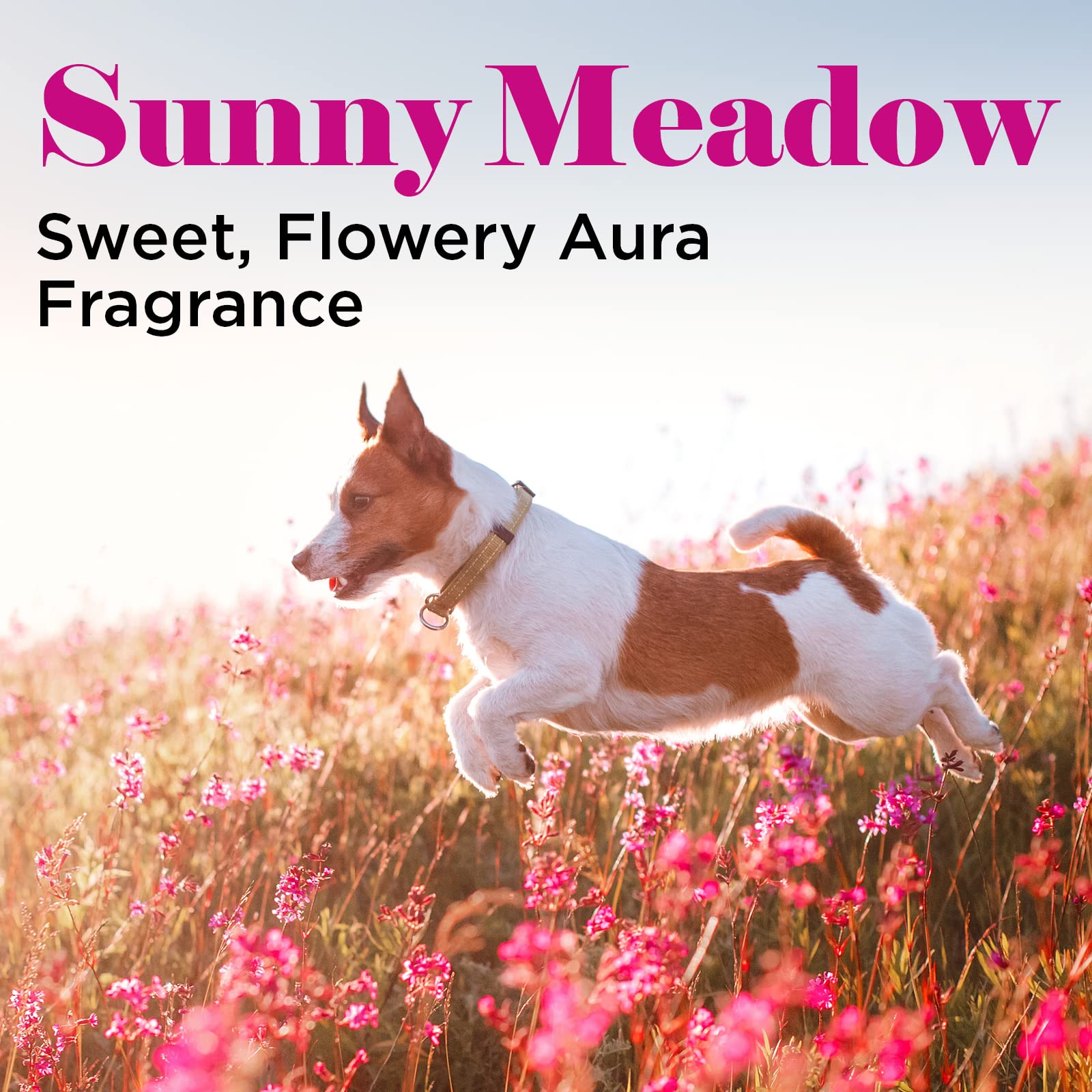 Sunnymeadow Cologne for Men & Women - 8 oz Long Lasting Fragrance | Perfect for Daily Wear, Date Nights & Special Occasions