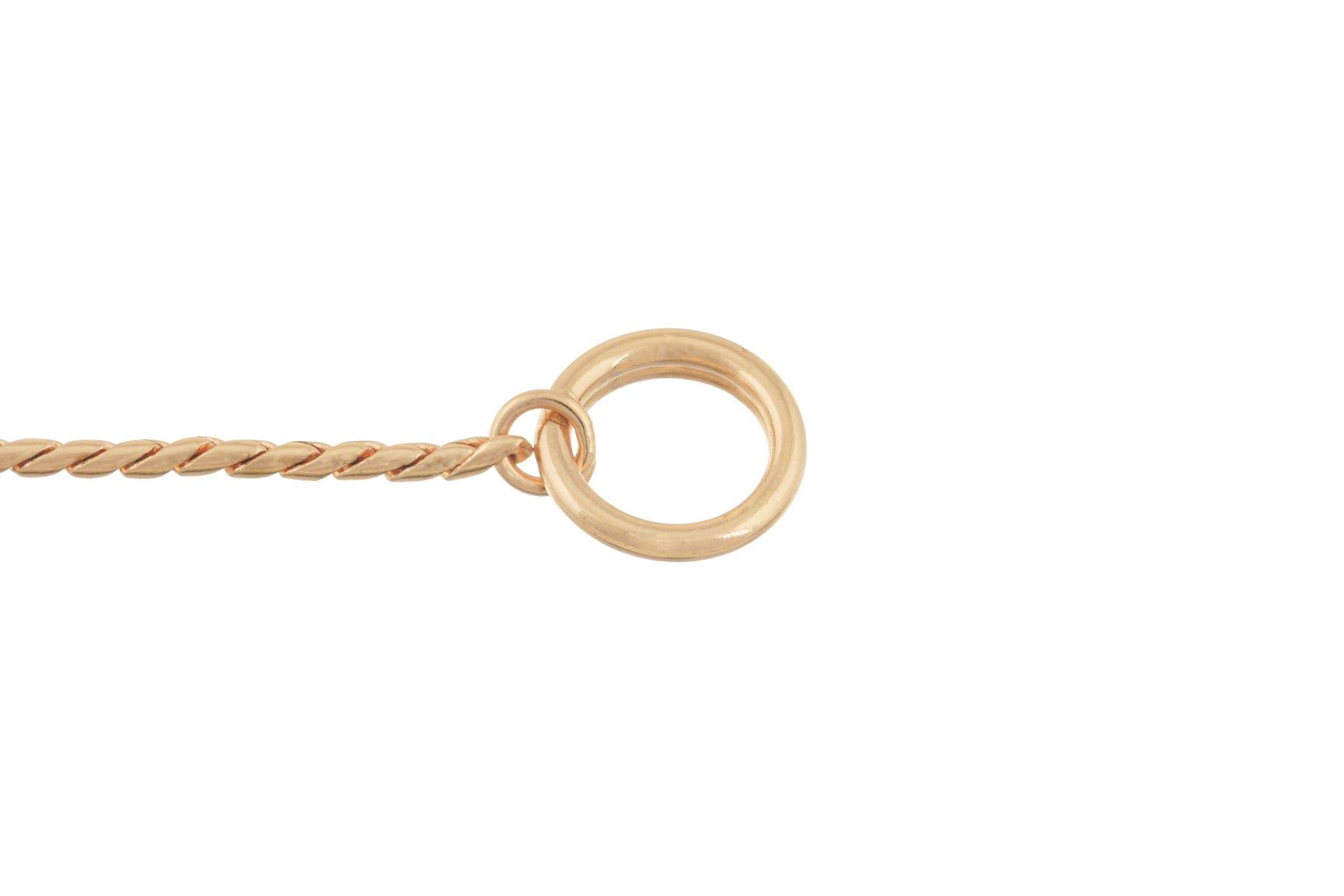 Alvalley Premium Brass Snake Chain Dog Collar - Adjustable Slip Collar for Toy, Small, Medium, Large & XL Dogs - Gold 24