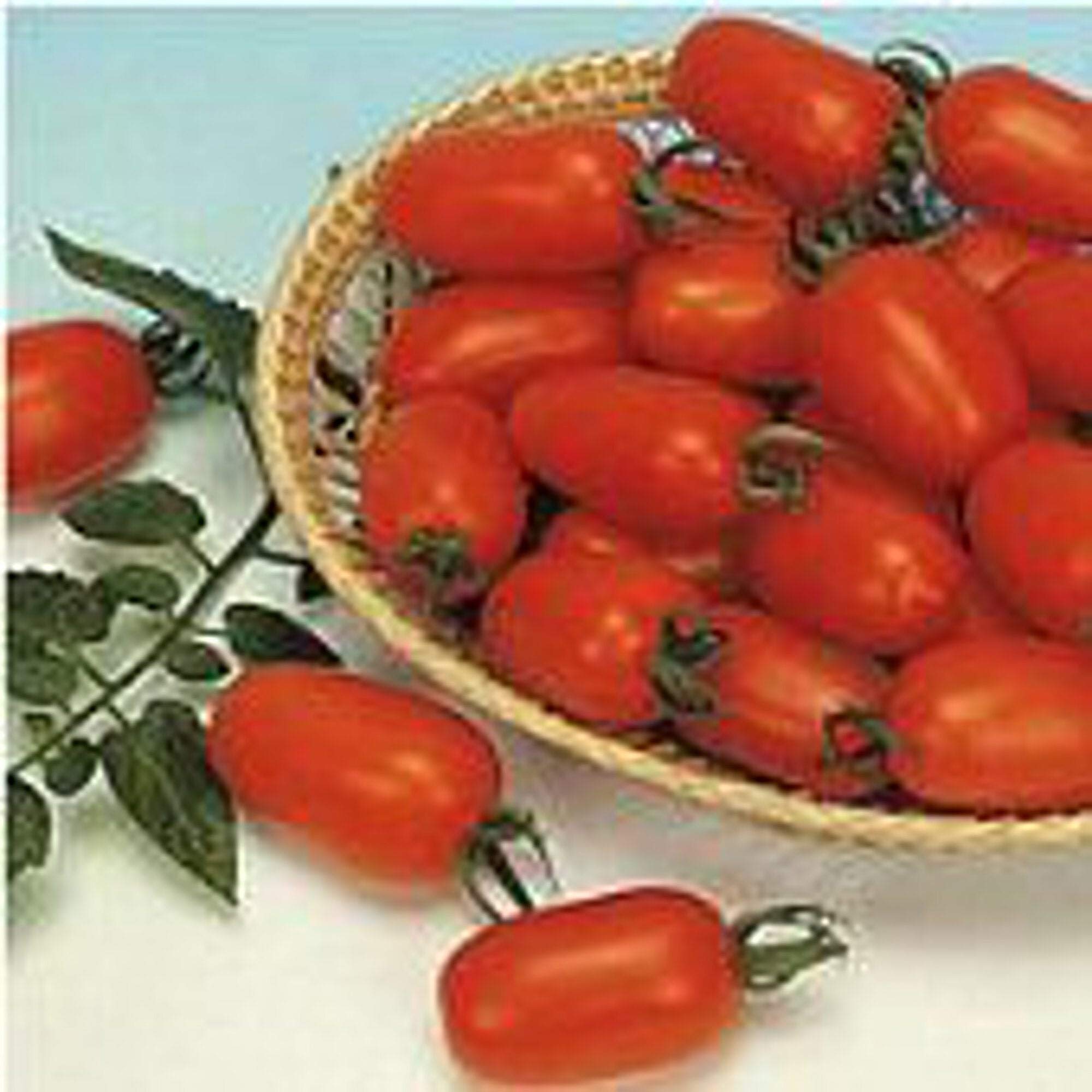 Organic Juliet Tomato Seeds - Non-GMO Heirloom Variety (25+ Seeds) for Home Gardening, Container Planting & Fresh Salads | High-Yield Cherry Tomato Seeds by Seed King Express