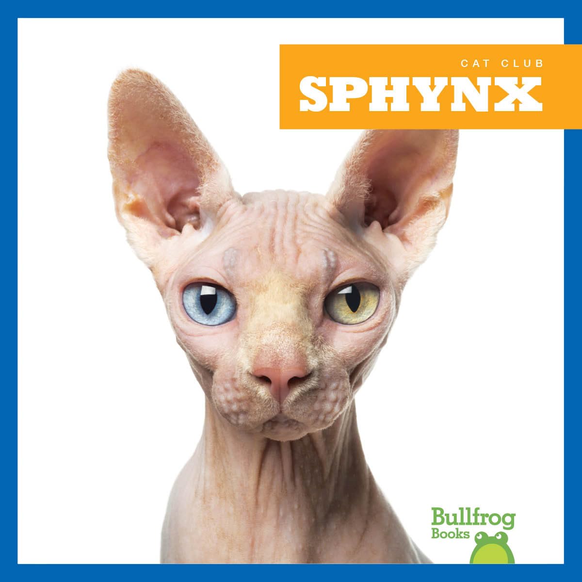 Sphynx Cat Book for Kids - Bullfrog Books: Cat Club - Learn About Hairless Cats for Pet Lovers & Classroom Reading