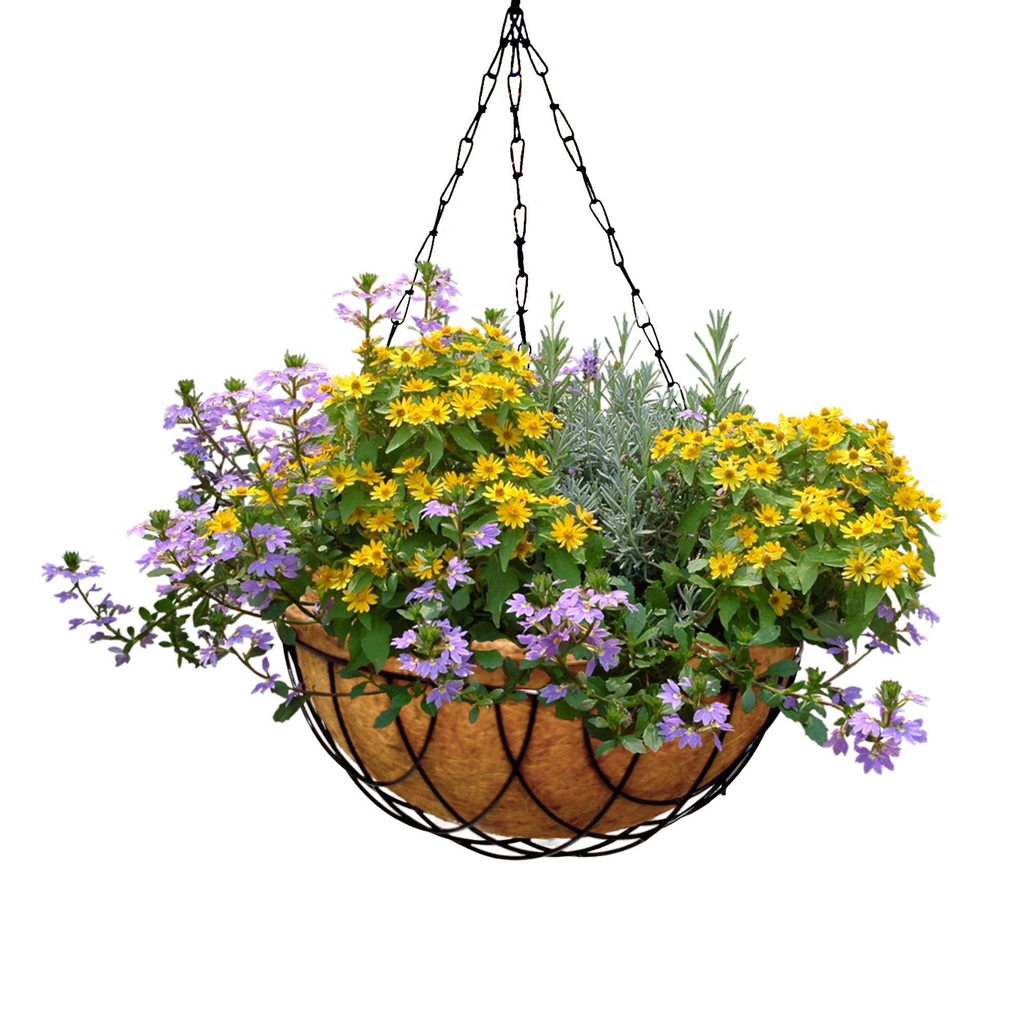 PALM NAKI 12 Inch Coconut Coir Hanging Metal Planter Set of 4 - Eco-Friendly Coco Coir Plant Pots with Rust-Proof Metal Hangers, Indoor/Outdoor Hanging Baskets for Plants - Perfect for Patio, Garden, Balcony & Home Decor