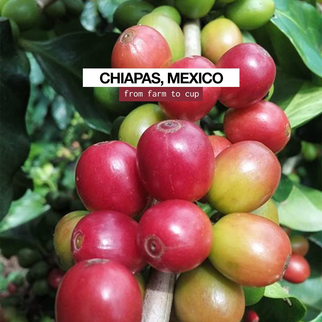 52 GOURMET Premium Ground Coffee - Artisan Mexican Chiapas Blend | Rich & Smooth Flavor for Home Brewing, Office Use & Gift Giving