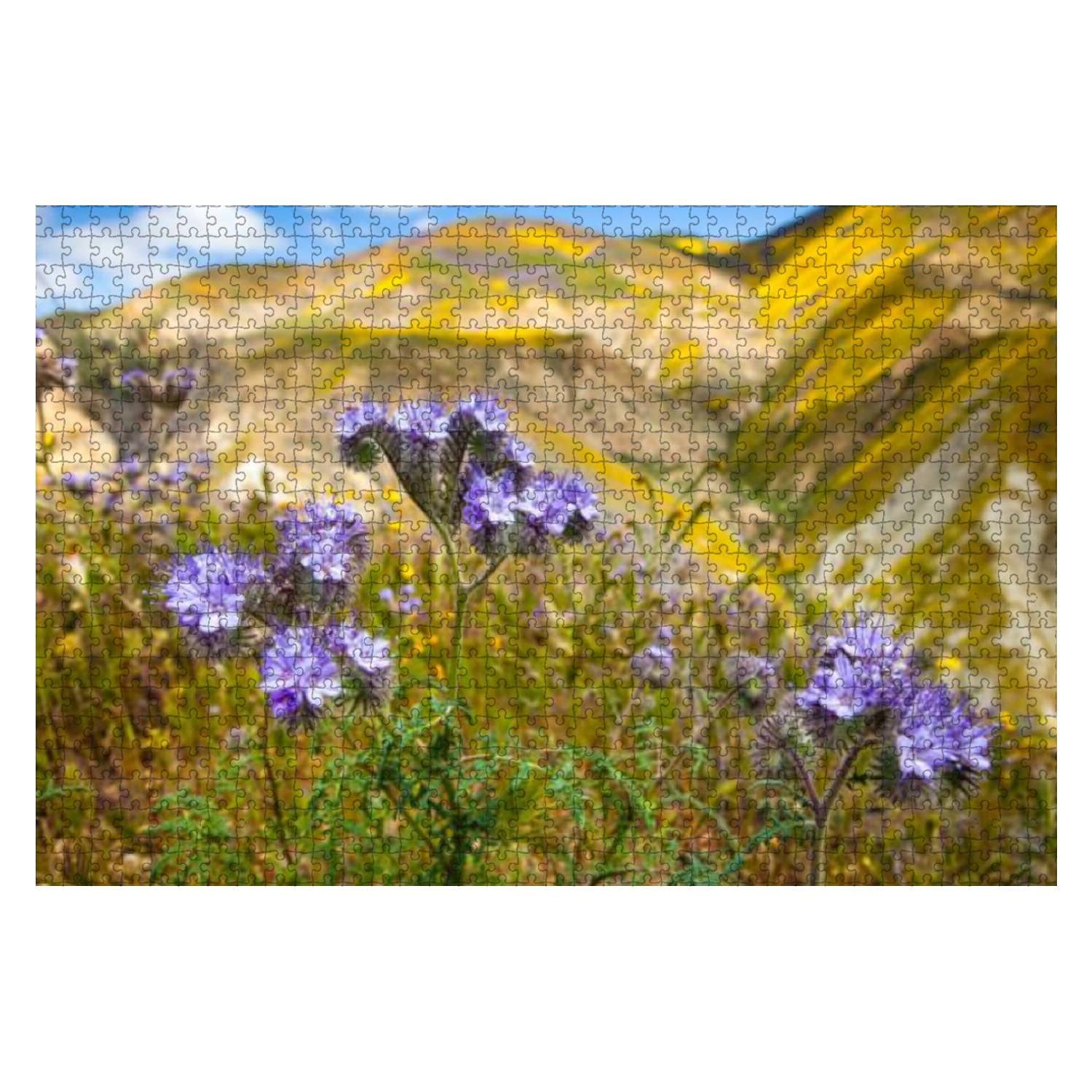 1000-Piece Wooden Jigsaw Puzzle - Lacy Phacelia Flowers & Vibrant Hills Below McKittrick Summit - Educational Puzzle Game for Adults & Kids - Stress Relief & Brain Teaser - Perfect for Family Game Night & Classroom Activities