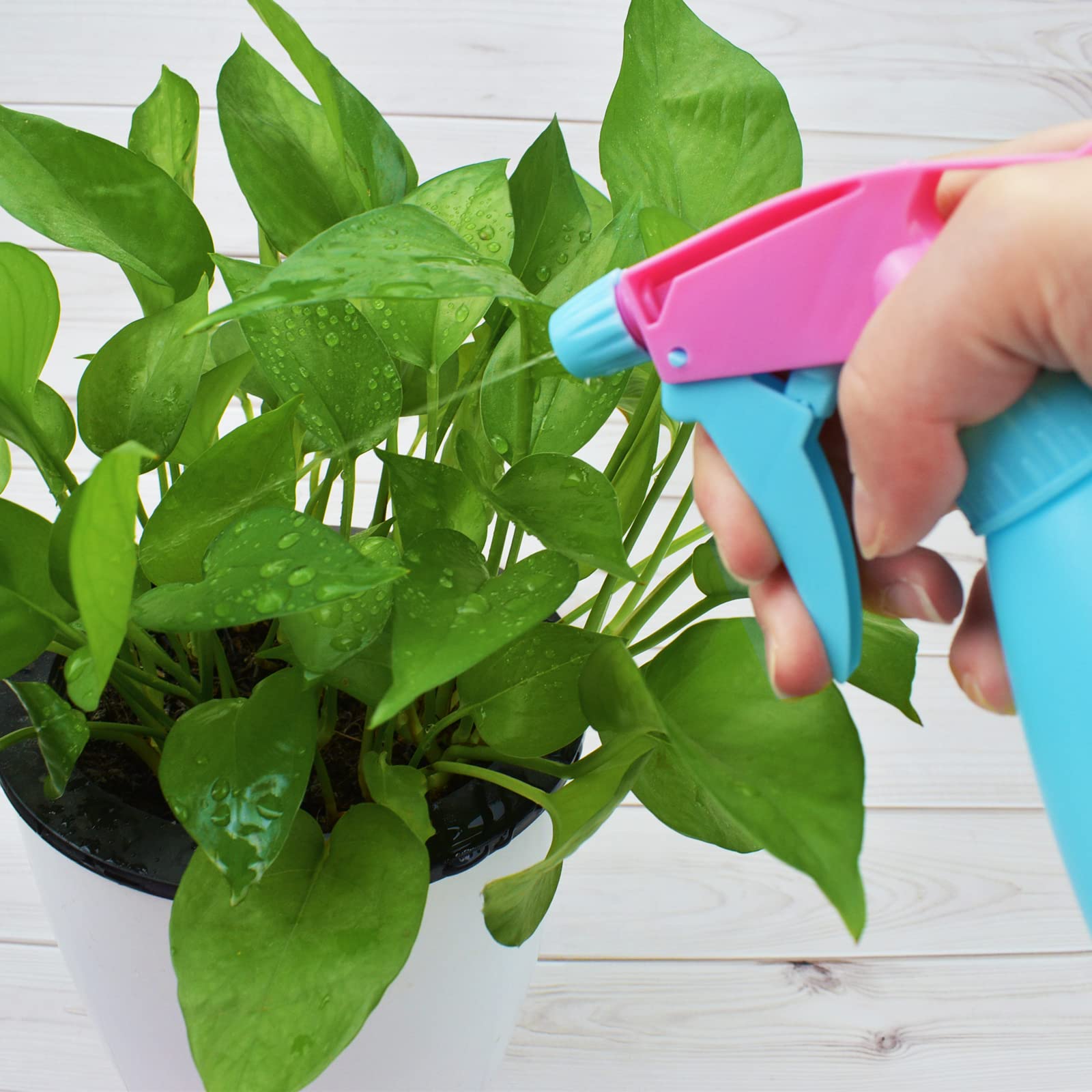 500ml Mist Spray Bottles 2-Pack - Leakproof Refillable Sprayer for Cleaning & Gardening