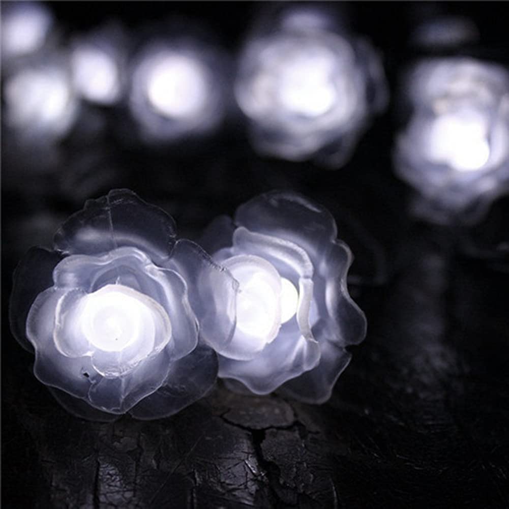 20LED Solar Flower String Lights - Waterproof Rose Fairy Lights with 2 Modes for Garden, Path, Home, Wedding & Party Decor (Rose-White) | Perfect for Outdoor Christmas, Patio, Backyard & Landscape Lighting
