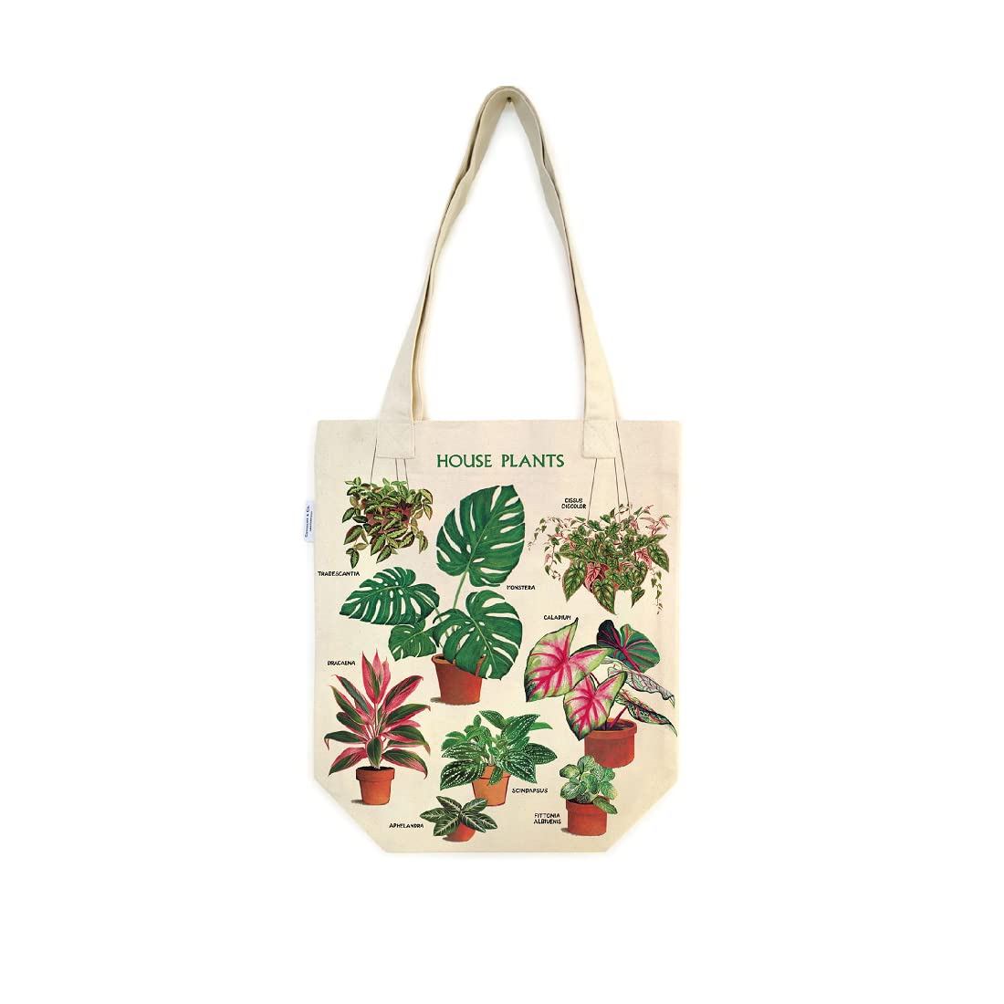 Cavallini & Co. House Plants Tote Bag - Eco-Friendly Canvas Shopping Bag with Botanical Print - Perfect for Groceries, Beach, Work & Everyday Use