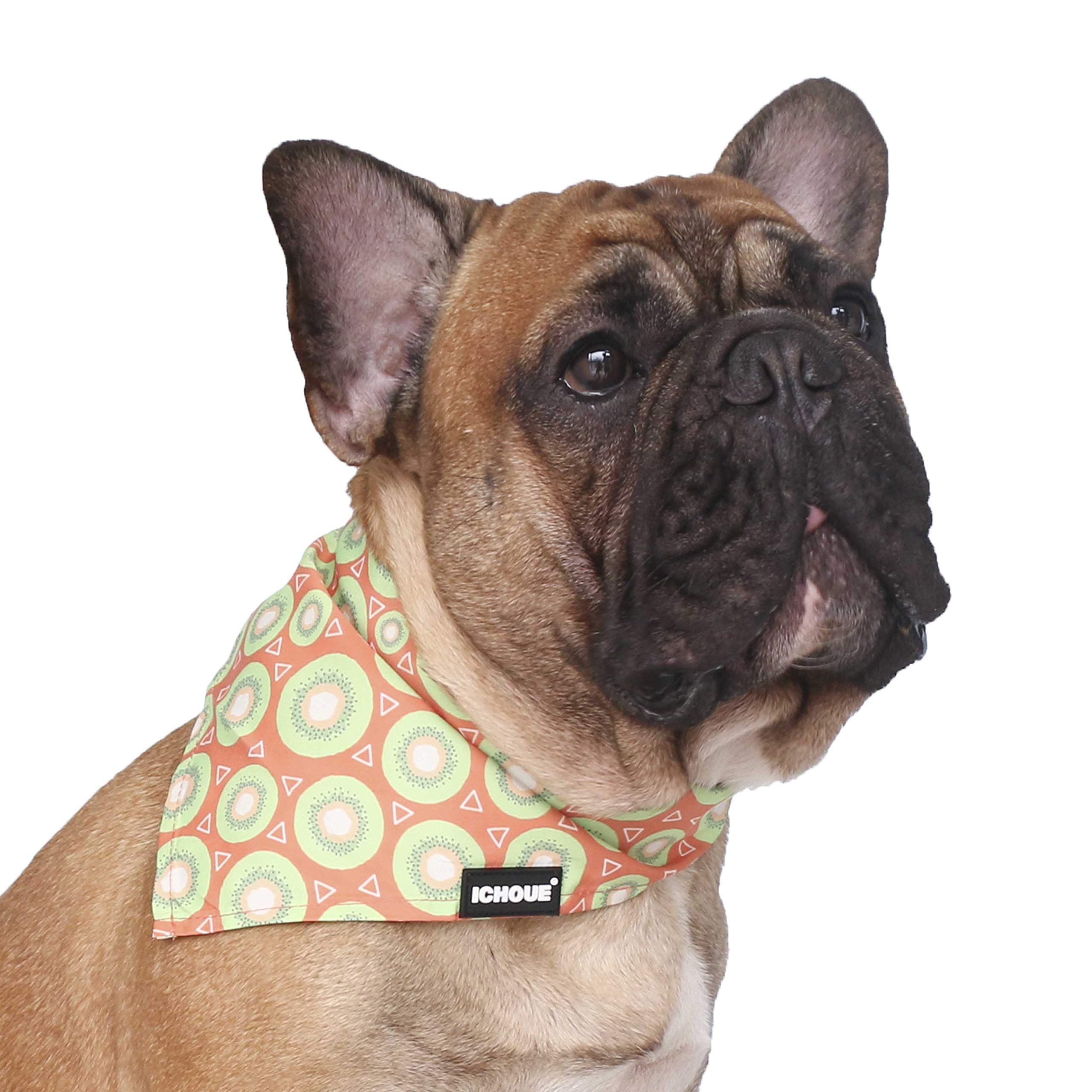 Original Printing Pet Bandanas - Washable Adjustable Dog & Cat Bibs - Kiwi Fruit Design - Perfect for Grooming, Walks & Photo Shoots