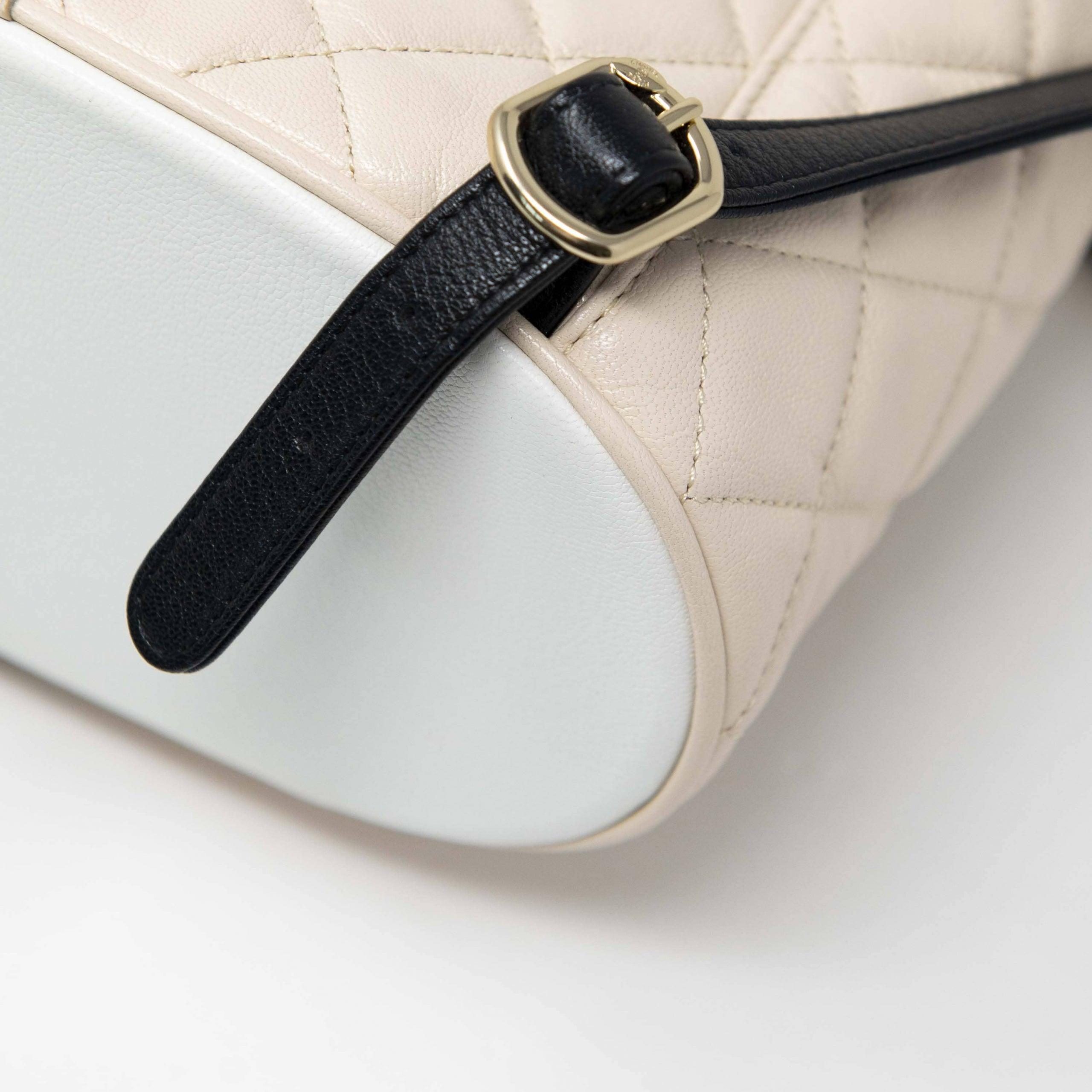 Chanel Tricolor Medium Duma Backpack - Luxury Designer Backpack for Women, Fashionable Everyday Use & Travel Accessory