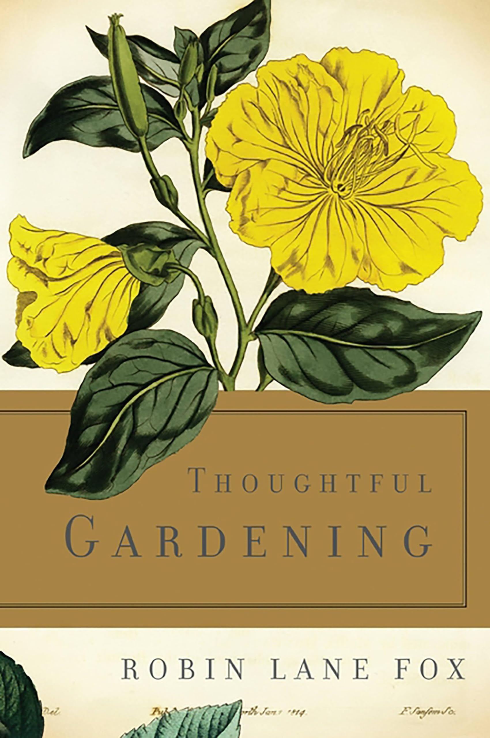 Thoughtful Gardening - High-Quality Gardening Tools & Supplies for Home & Outdoor Use | Perfect for Planting, Landscaping & DIY Projects