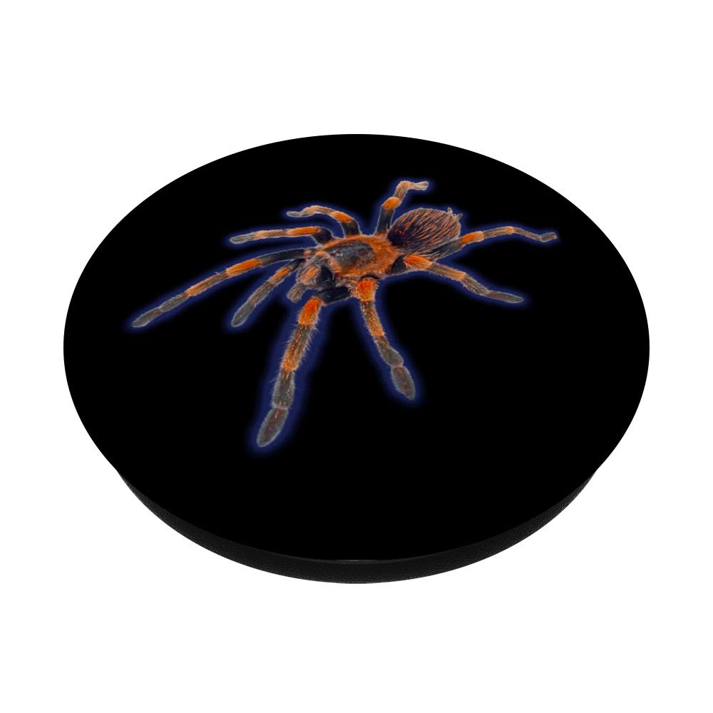Mexican Fireleg Tarantula PopSockets Phone Grip & Stand - Durable Phone Accessory for iPhone, Samsung, Tablets - Perfect for Gaming, Selfies, and Everyday Use