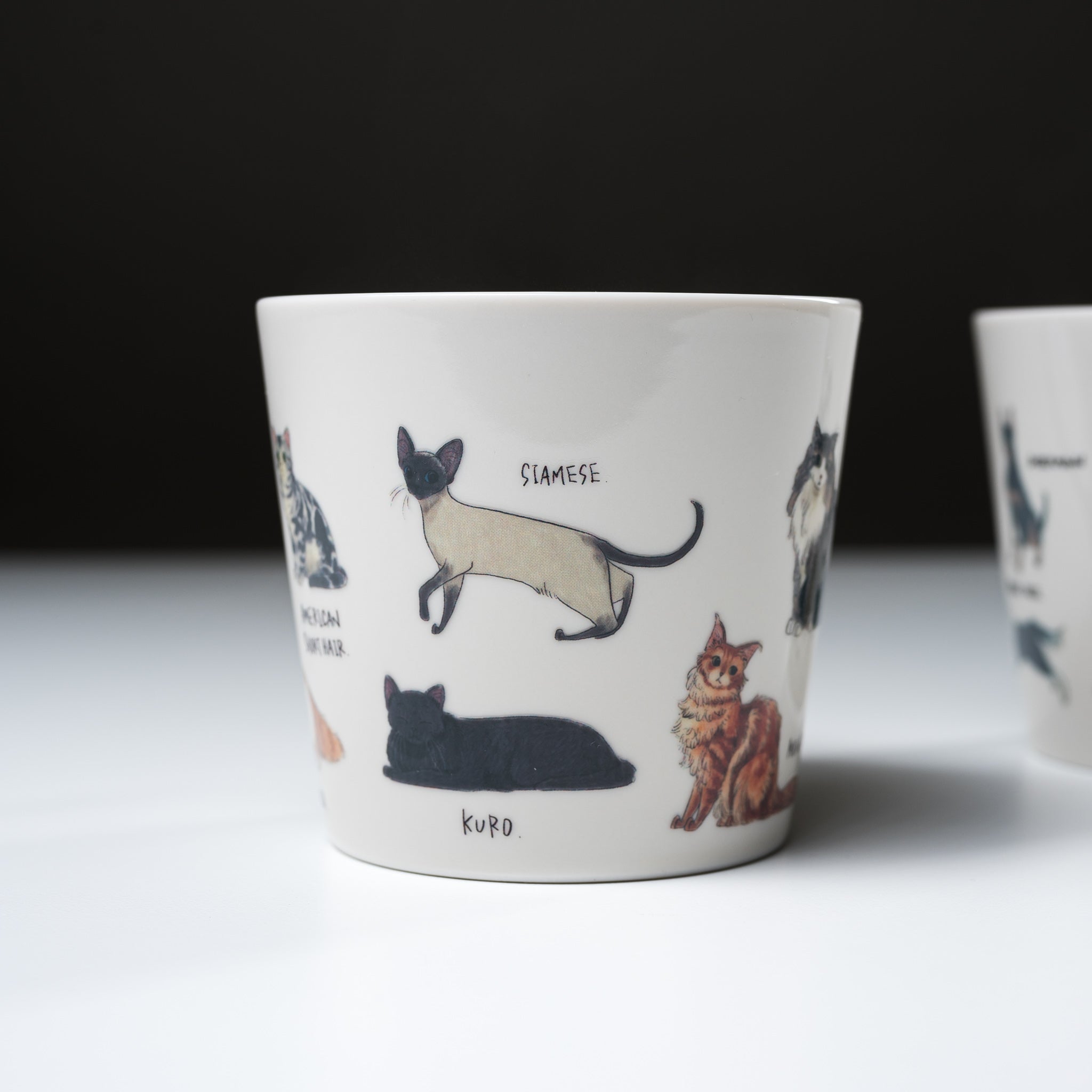 Premium Mino Ware Cat Lover's Magic Thermal Mug - Heat Changing Ceramic Coffee Cup with Cute Cat Design - Perfect for Tea, Coffee & Gift Giving