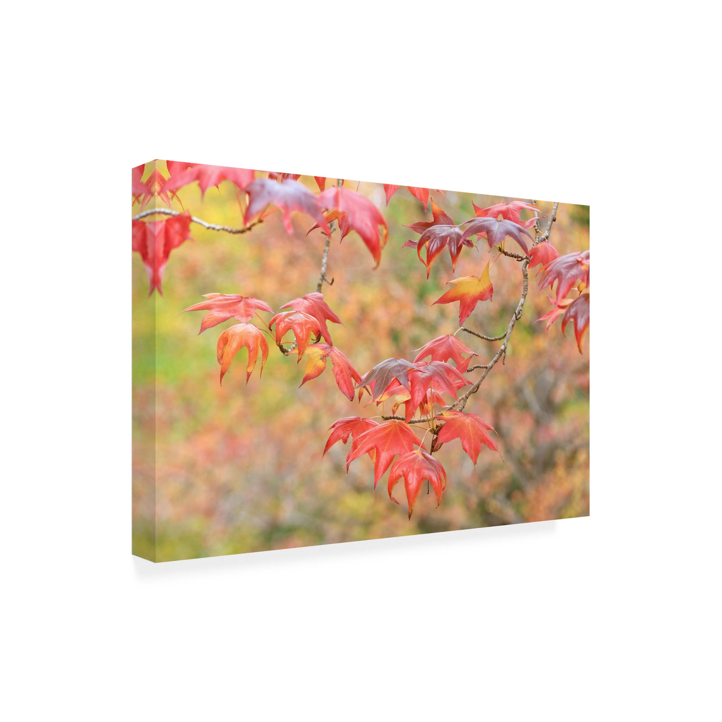 Falltime In My Garden Canvas Wall Art Print by Beata Czyzowska - Handmade Floral Landscape Painting for Living Room, Bedroom & Office Decor