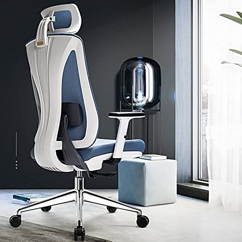 Ergonomic Home Office Chair - High Back Mesh Computer Desk Chair with Adjustable Height, Lumbar Support & Thick Seat Cushion - Executive Swivel Task Chair for Conference Room, Gaming, and Long Work Sessions