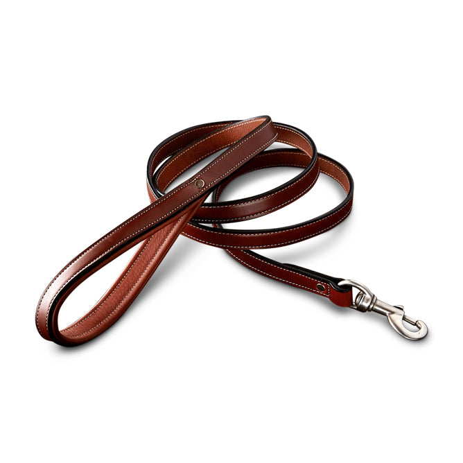 Rover Padded Handle Dog Leash - Comfortable & Durable for Walking, Training, and Outdoor Adventures