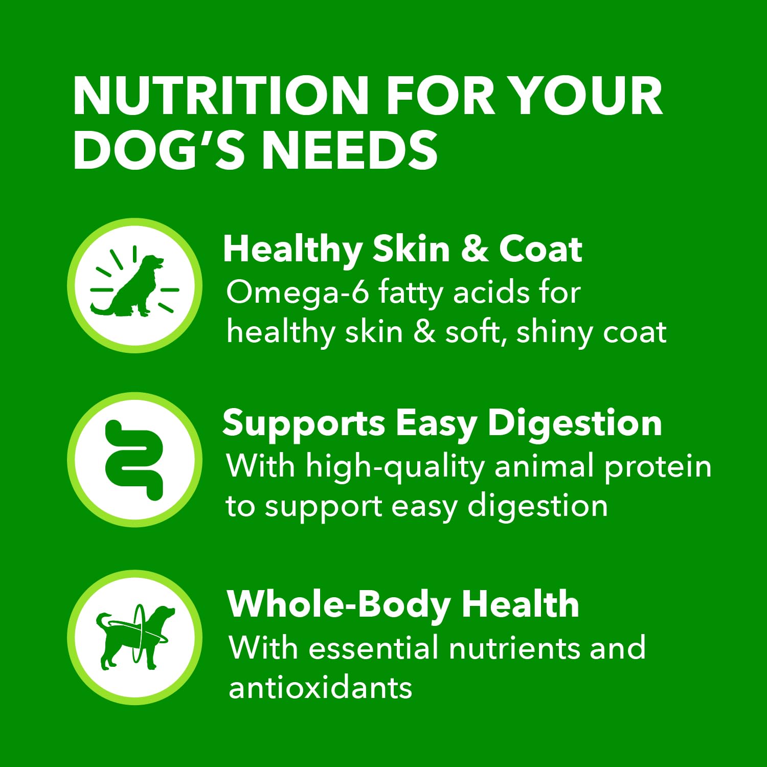 Iams Proactive Health Adult Wet Dog Food - Classic Ground Chicken & Rice Recipe, 13 oz Can - High Protein Meal for Active Dogs, Perfect for Training & Outdoor Adventures