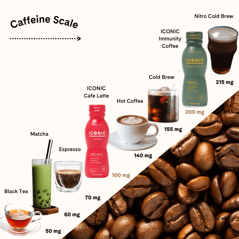 Keto-Friendly Protein Coffee - Iconic Protein Drinks Café Latte (12 Pack) | Sugar-Free, Low-Carb, 20g Protein, 100mg Caffeine | Lactose-Free & Gluten-Free | Perfect for Weight Loss, Workout Energy & Morning Boost