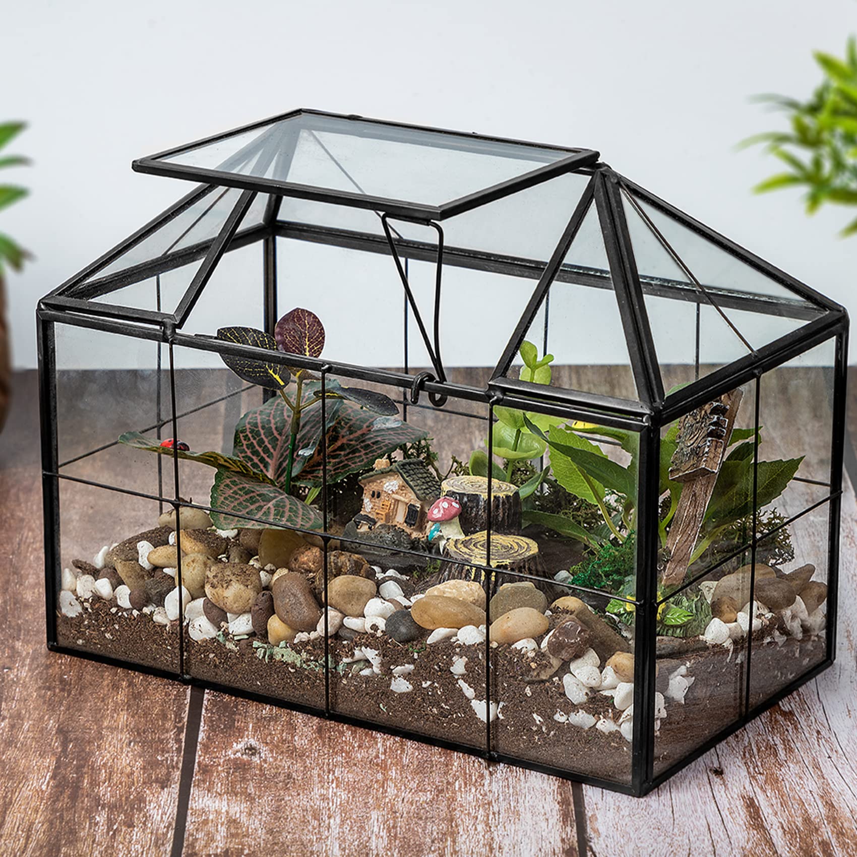 Ferrisland Glass Terrarium Greenhouse - House Shape Display Box for Succulents & Air Plants | Modern Tabletop Decor Planter Container | Perfect for Home Office, Wedding Centerpiece & DIY Garden Projects