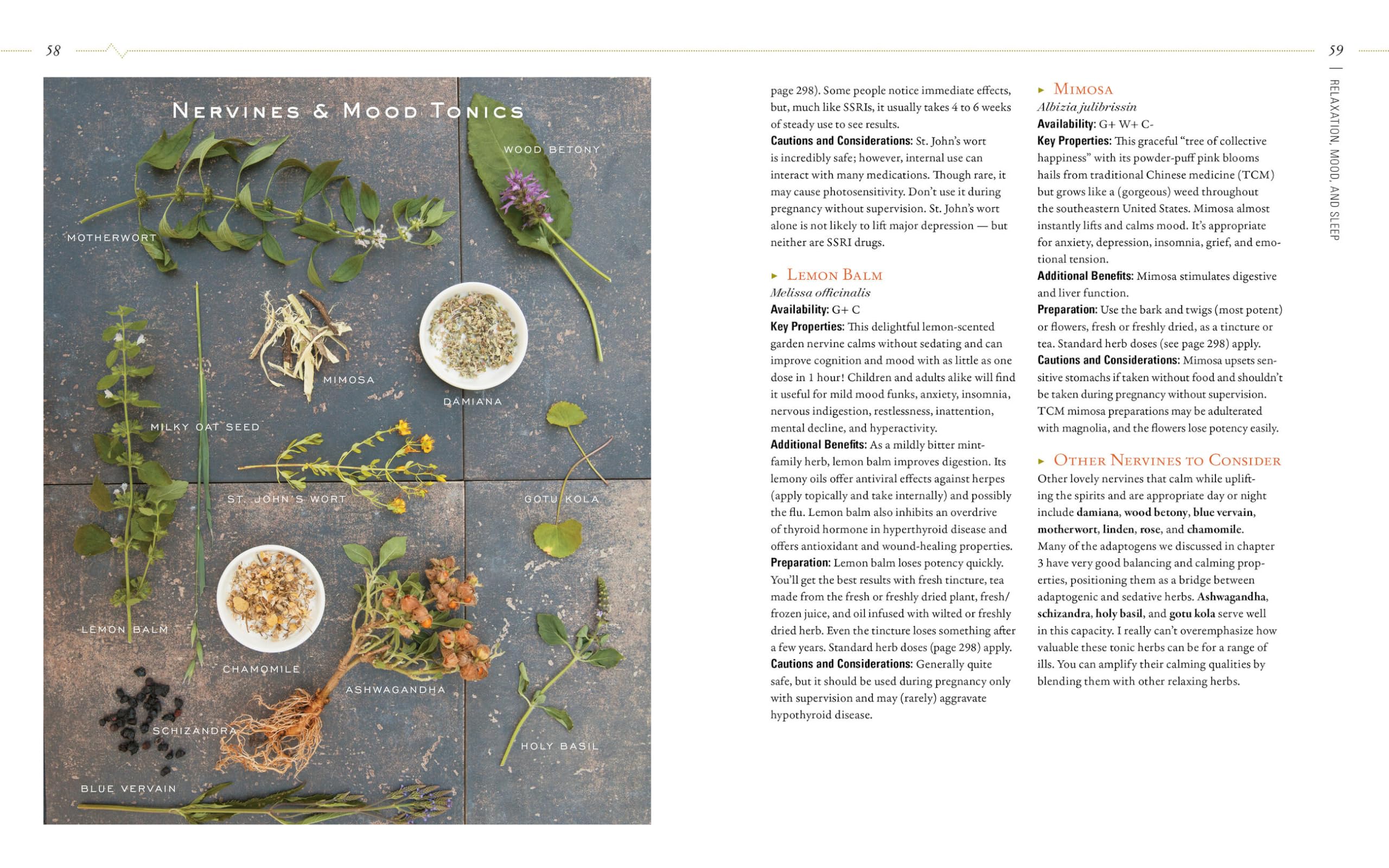 Body into Balance: Herbal Guide for Holistic Self-Care - Natural Remedies for Stress Relief, Better Sleep & Wellness at Home