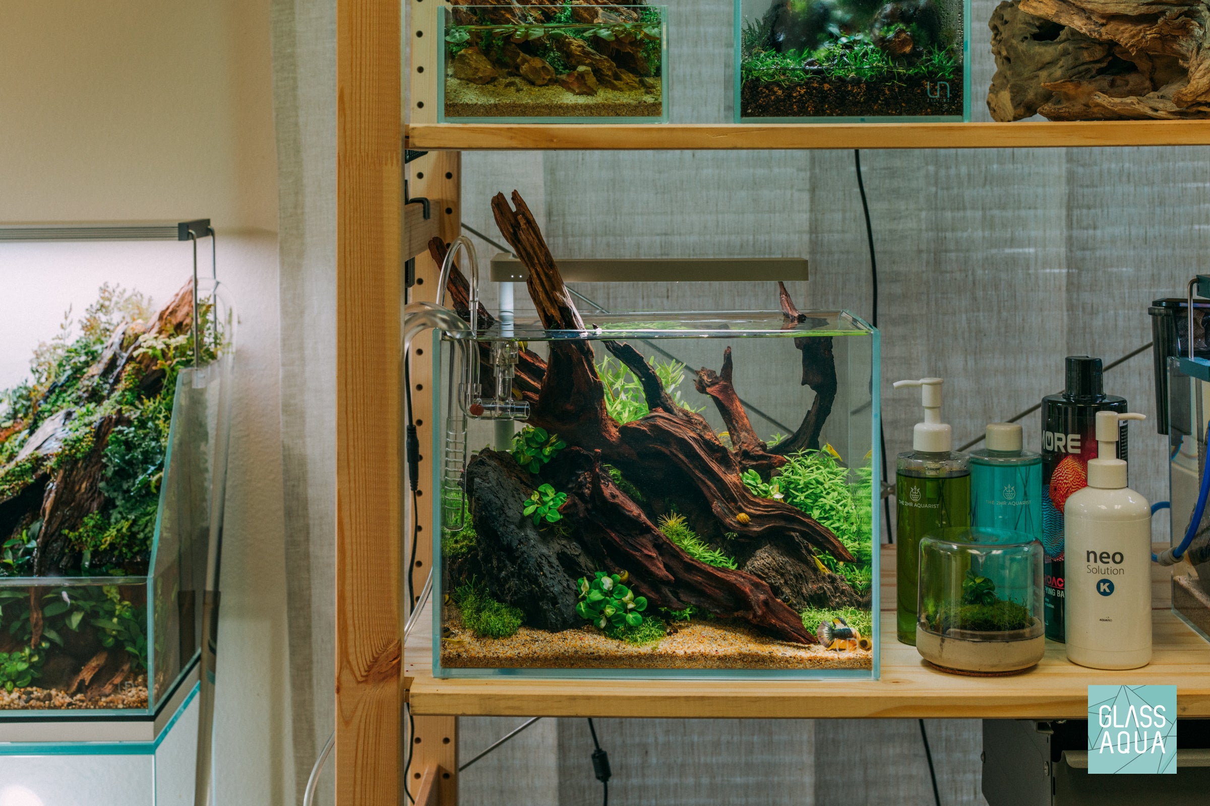 Premium UNS Rimless Tall Glass Aquarium Tank - 10 Gallon Clear Fish Tank for Nano Shrimp & Betta Fish - Perfect for Home Office Desk & Living Room Decor