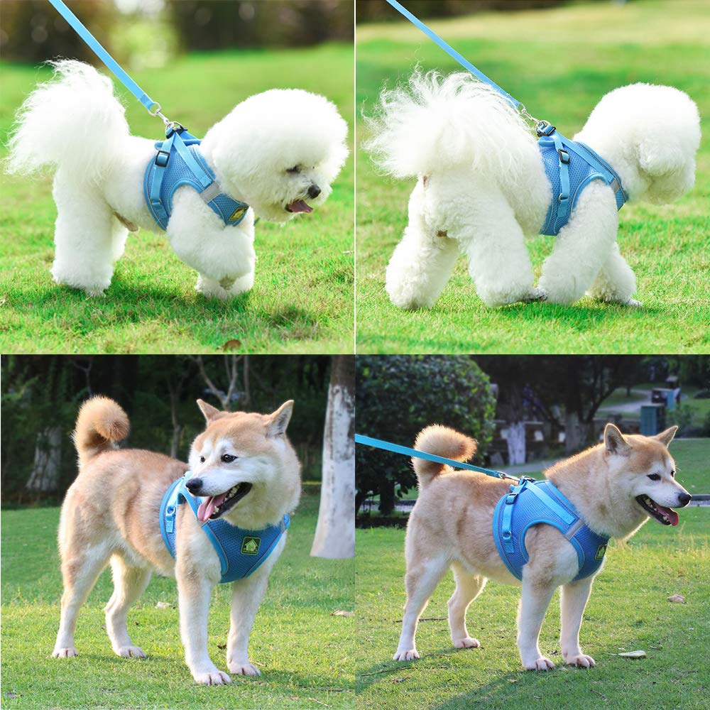 Leconpet Step-in Dog Harness with Leash Set - Breathable Mesh Reflective Vest for Small & Medium Dogs & Puppies (Blue, XS) - Perfect for Walking, Training & Outdoor Adventures