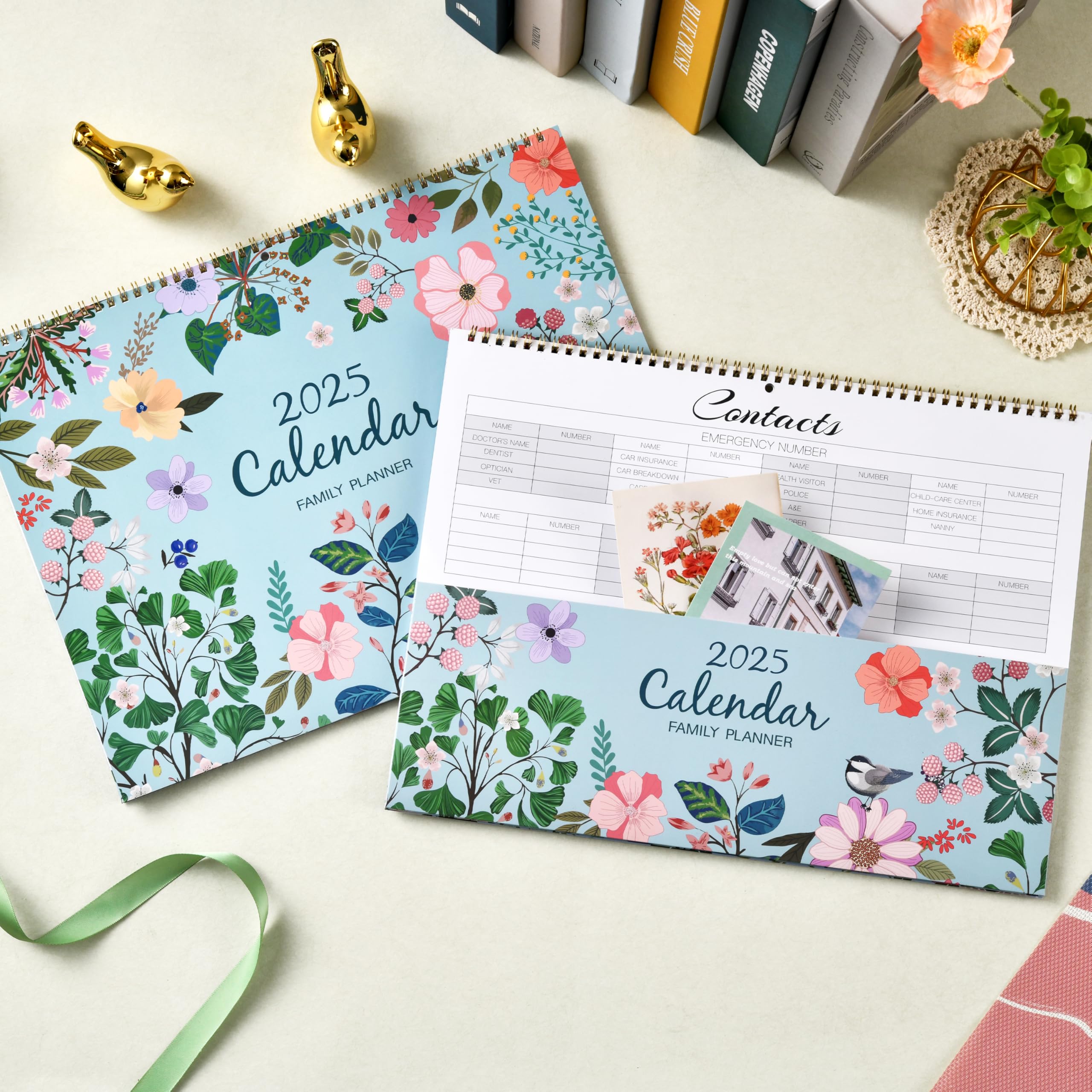 2025 Family Wall Calendar - 12 Months from January to December 2025 | 6-Column Organizer with Notes Section & Back Pocket | 39 x 29 cm Thick Paper Planner | Perfect for Home, Office & School Planning
