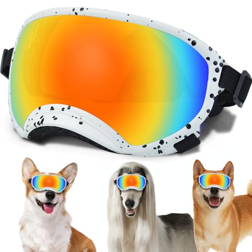 White Frame-Blackdot-Colours Lens-S