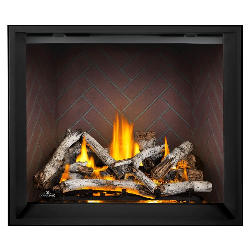 Napoleon Elevation X 42 Inch Direct Vent Gas Fireplace - EX42 | Indoor Heating for Living Rooms & Bedrooms | Modern Home Decor