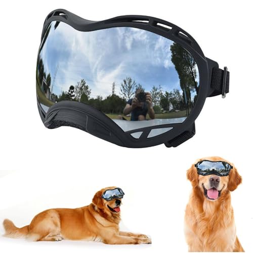 Black Frame & silver Lens/Small
