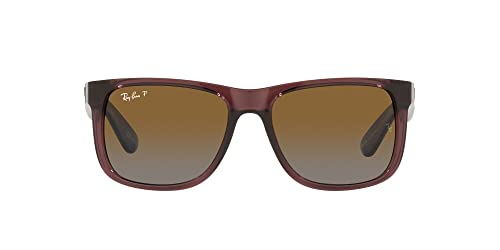 Transparent Dark Brown/Polarized Gradient Brown