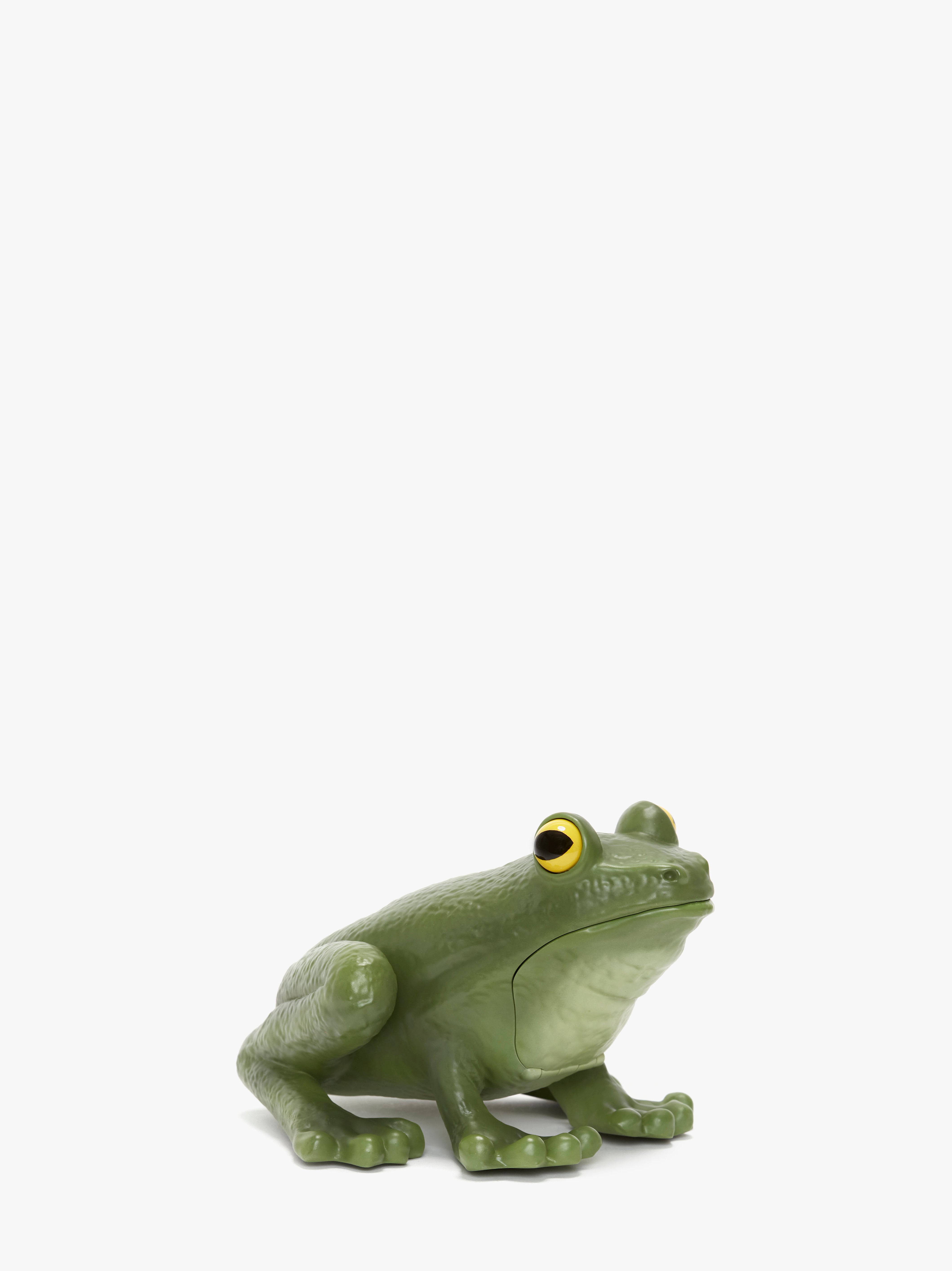 Frog Clutch Green - Stylish Women's Handbag for Everyday Use, Work & Evening Out