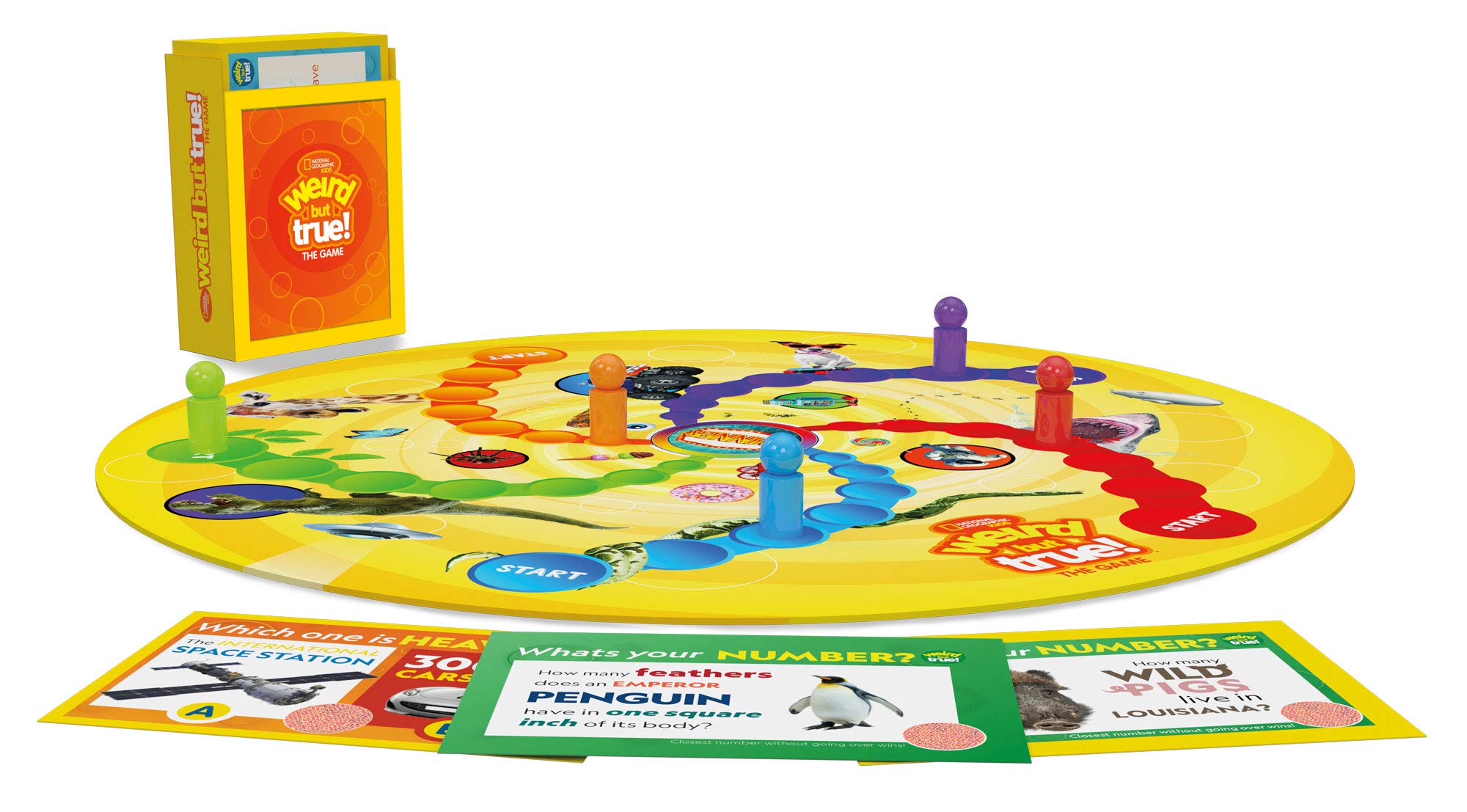 Buffalo Games - Weird But True Trivia Card Game for Kids & Families | Fun Educational Party Game for Family Game Night, Classroom Learning & Travel Entertainment