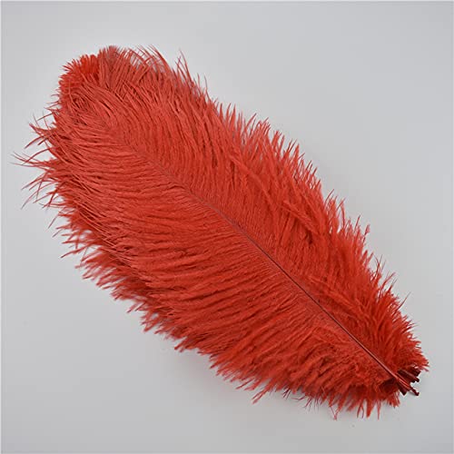 10Pcs/Lot 30-35cm White & Black Ostrich Feathers for DIY Crafts, Wedding Centerpieces, Party Decorations - Perfect for Table Decor, Carnival Events, and Home Decoration