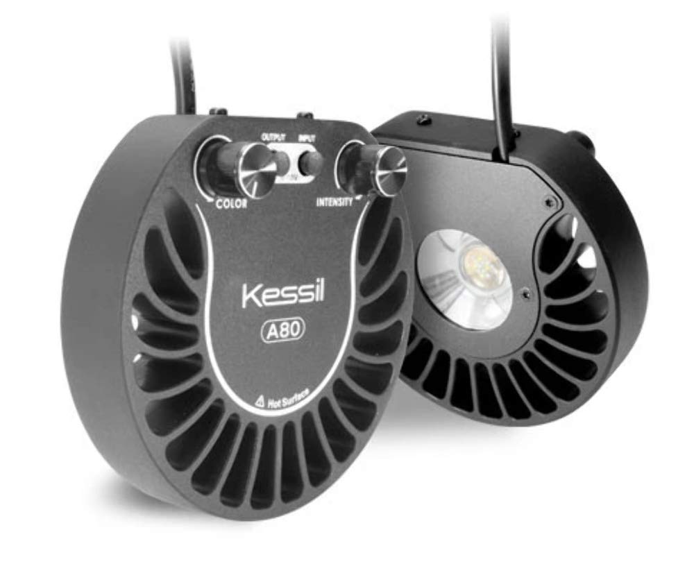Kessil H80 Tuna Flora Refugium LED Grow Light for Saltwater Aquariums - Perfect for Coral Reef Tanks, Macroalgae, and Marine Plant Growth