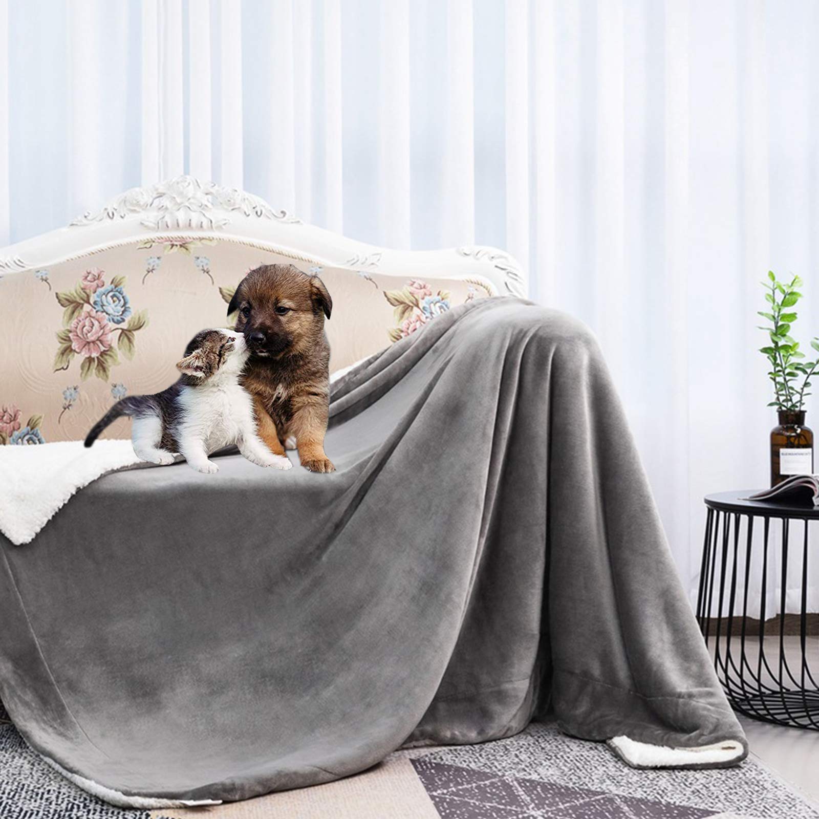 Waterproof Pet Blanket for Dogs & Cats - Soft Sherpa Fleece Throw for Medium Dogs, Puppies & Small Cats | Machine Washable Dog Bed Cover for Couch, Sofa & Bed | Perfect for Indoor Use, Travel & Crate Training