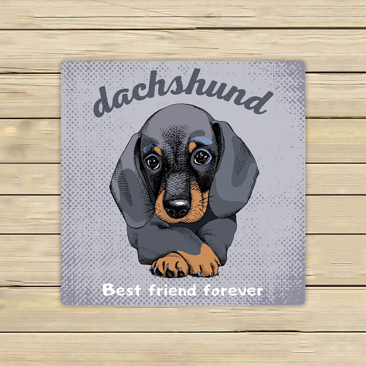 ABPHQTO Dachshund Dog Portrait Beach Towel - 13x13 Inch Soft Bath & Pool Towel for Travel, Hand Spa, Sports | Perfect for Beach, Gym, Yoga & Outdoor Activities