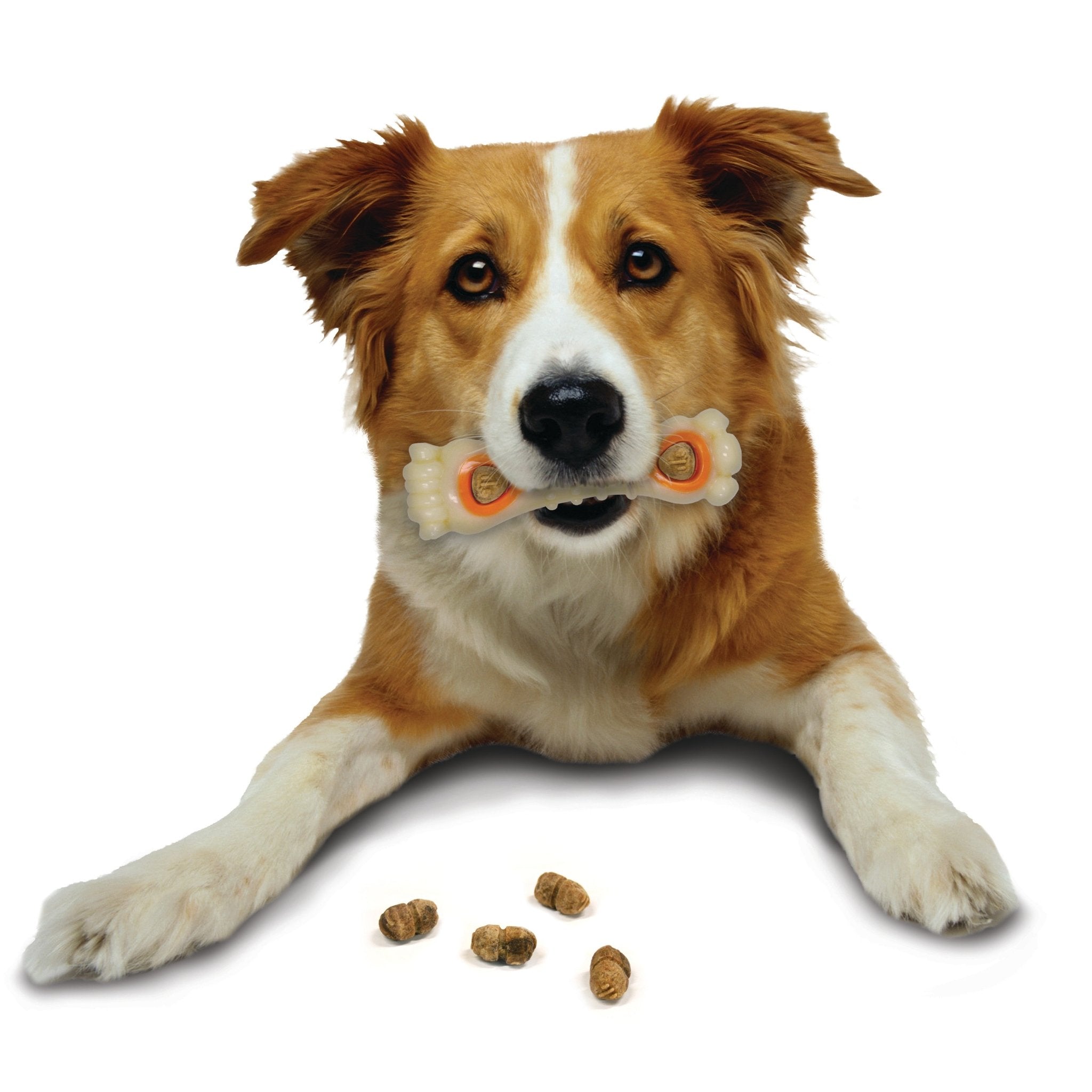 All Natural Chicken Flavor Pop In Dog Treat Refills - 30 Count for Small, Medium & Large Dogs - Perfect for Training, Rewards & Dental Health