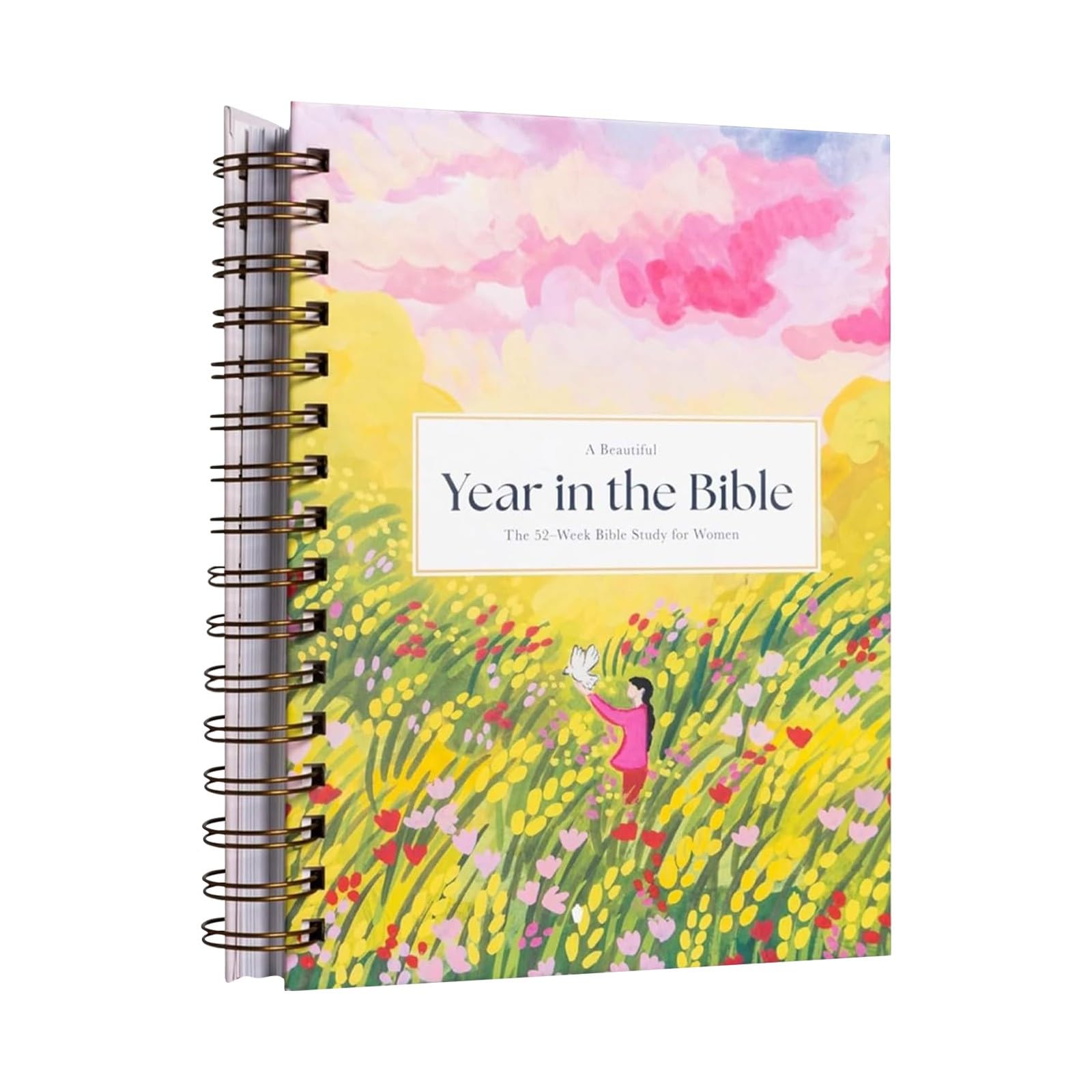 Beautiful Year in The Bible for Women - 52-Week Bible Study Guide & One-Year Scripture Reading Journey to Understand The Entire Bible (2025 Edition) - Perfect for Personal Devotion, Group Bible Studies & Christian Women's Retreats