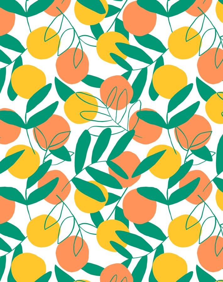 Citrus Wallpaper by Tea Collection - Creamsicle Orange Peel Design for Nursery, Kids Room & Home Decor