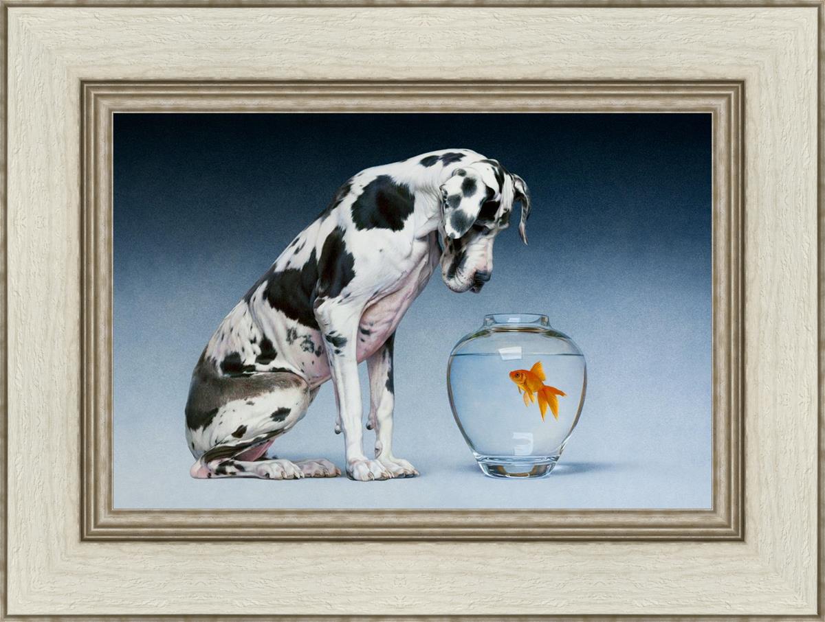 Dane And Fish By Chris Young - Premium Fishing Gear & Accessories for Outdoor Enthusiasts | Perfect for Freshwater & Saltwater Fishing Adventures