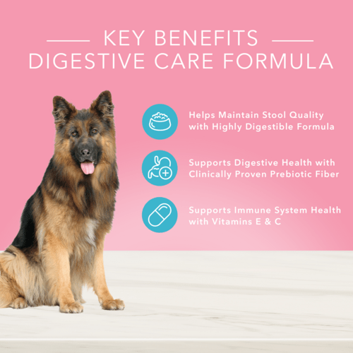 BLUE True Solutions Digestive Care Adult Canned Dog Food - Grain Free Wet Food for Sensitive Stomachs - Perfect for Dogs with Digestive Issues & Allergies - Ideal for Mealtime or as a Tasty Topper