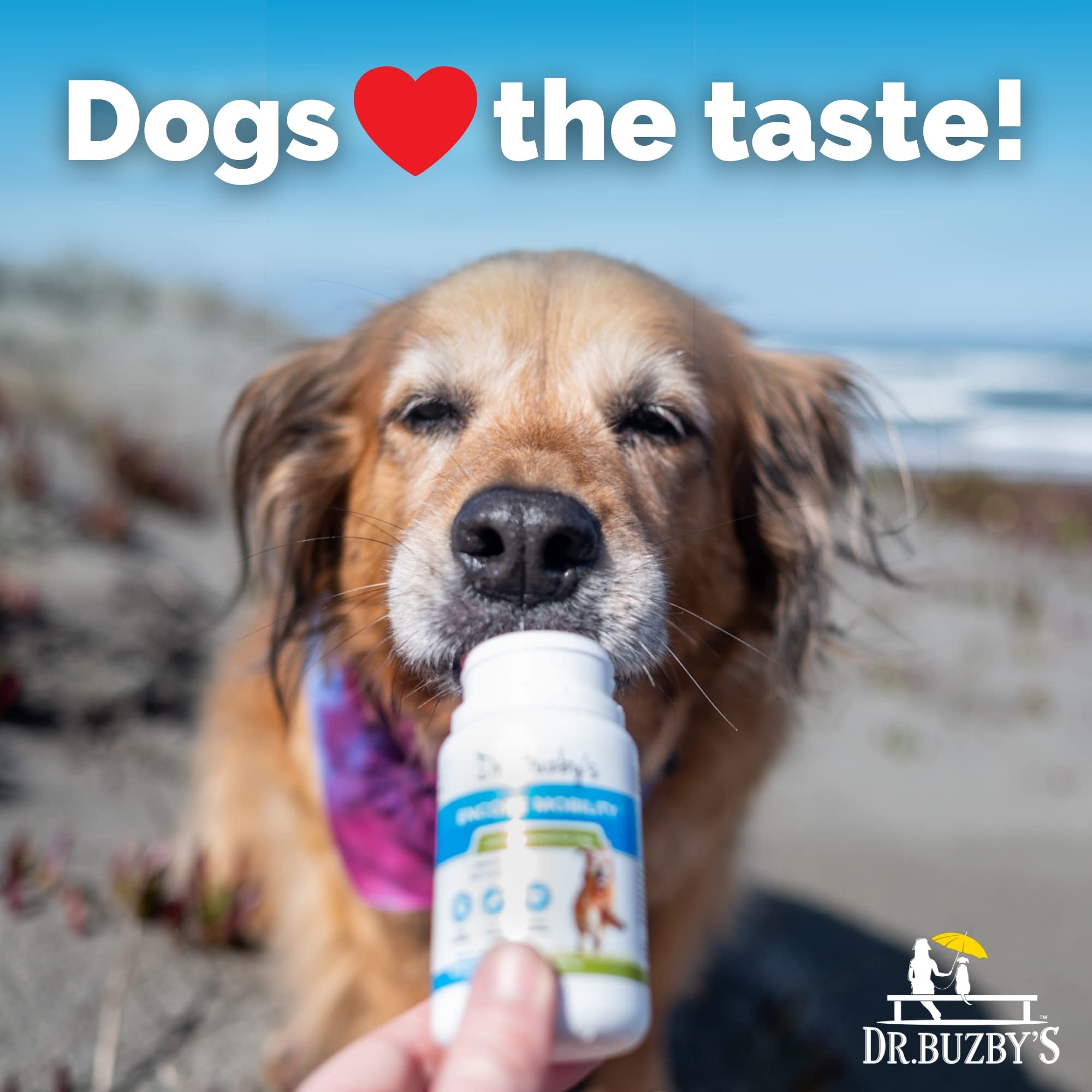 Dr. Buzby's Encore Mobility Hip & Joint Supplement for Senior Dogs - 90 Chewable Tablets with Natural New Zealand Deer Velvet & Green Lipped Mussel - Dog Joint Pain Relief & Mobility Support for Aging Pets - Perfect for Daily Use & Post-Activity Recovery