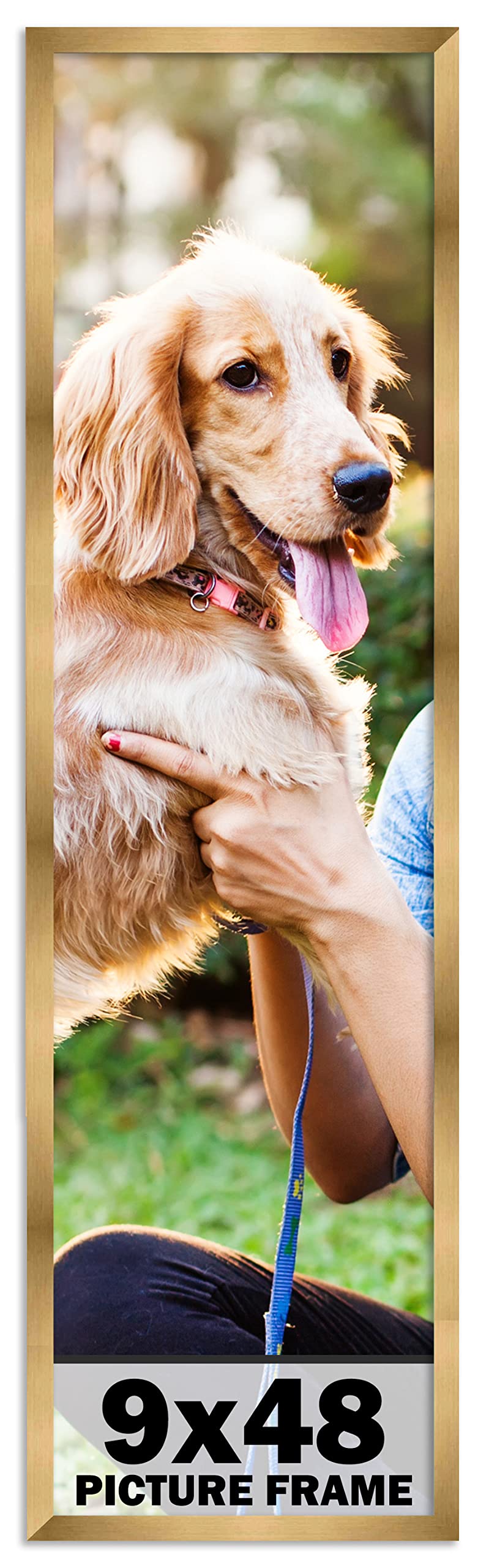 9x48 Inch Modern Metallic Bronze Picture Frame - Shatterproof UV Acrylic Front & Acid-Free Backing - Wall Hanging Photo Display for Family Portraits, Living Room Decor, Office Art - No Mat Included