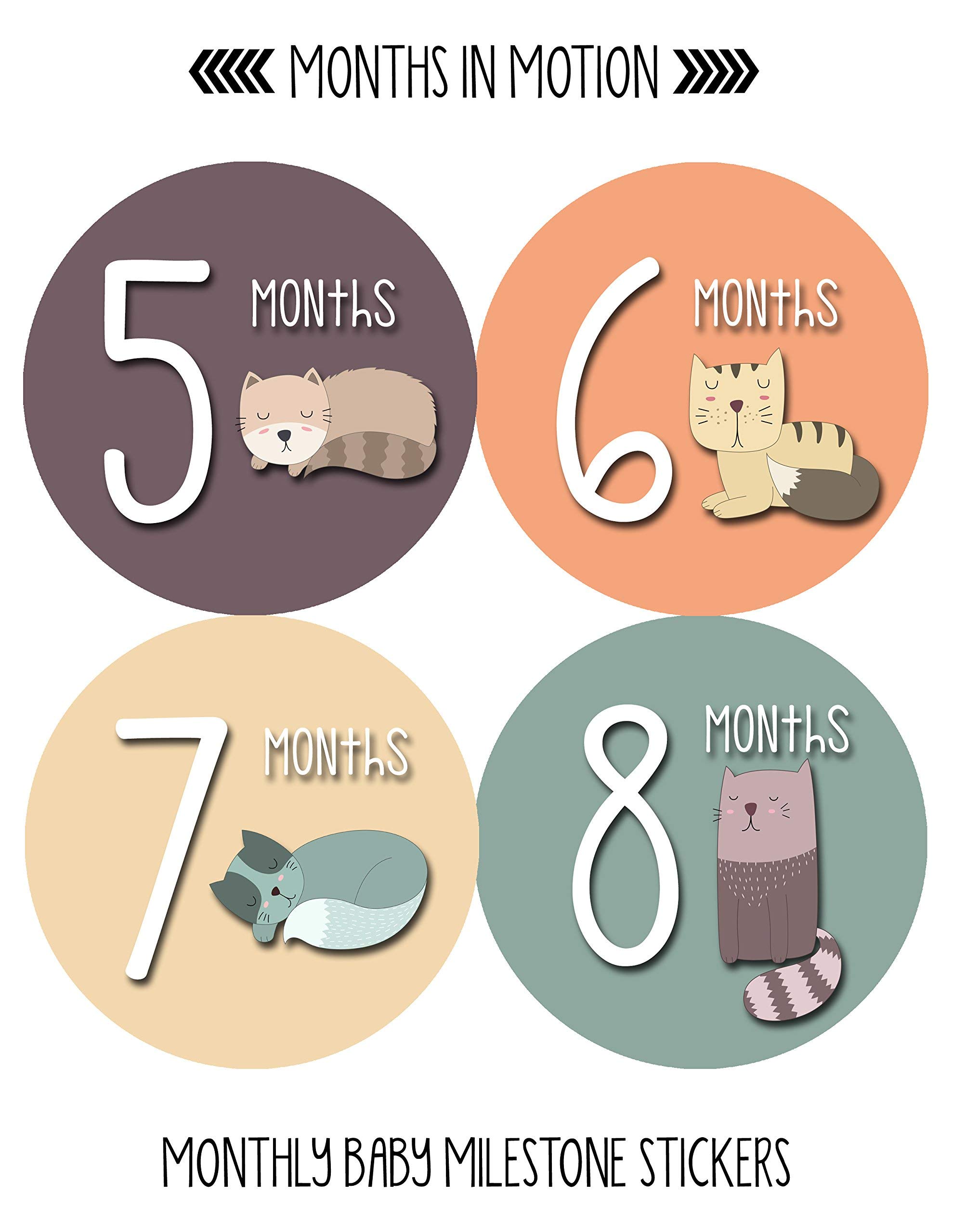 Baby Monthly Milestone Stickers for Newborn Girls - Cute Cat & Kitten Design - Perfect for Baby Photo Shoots, Scrapbooking & First Year Memory Keepsakes