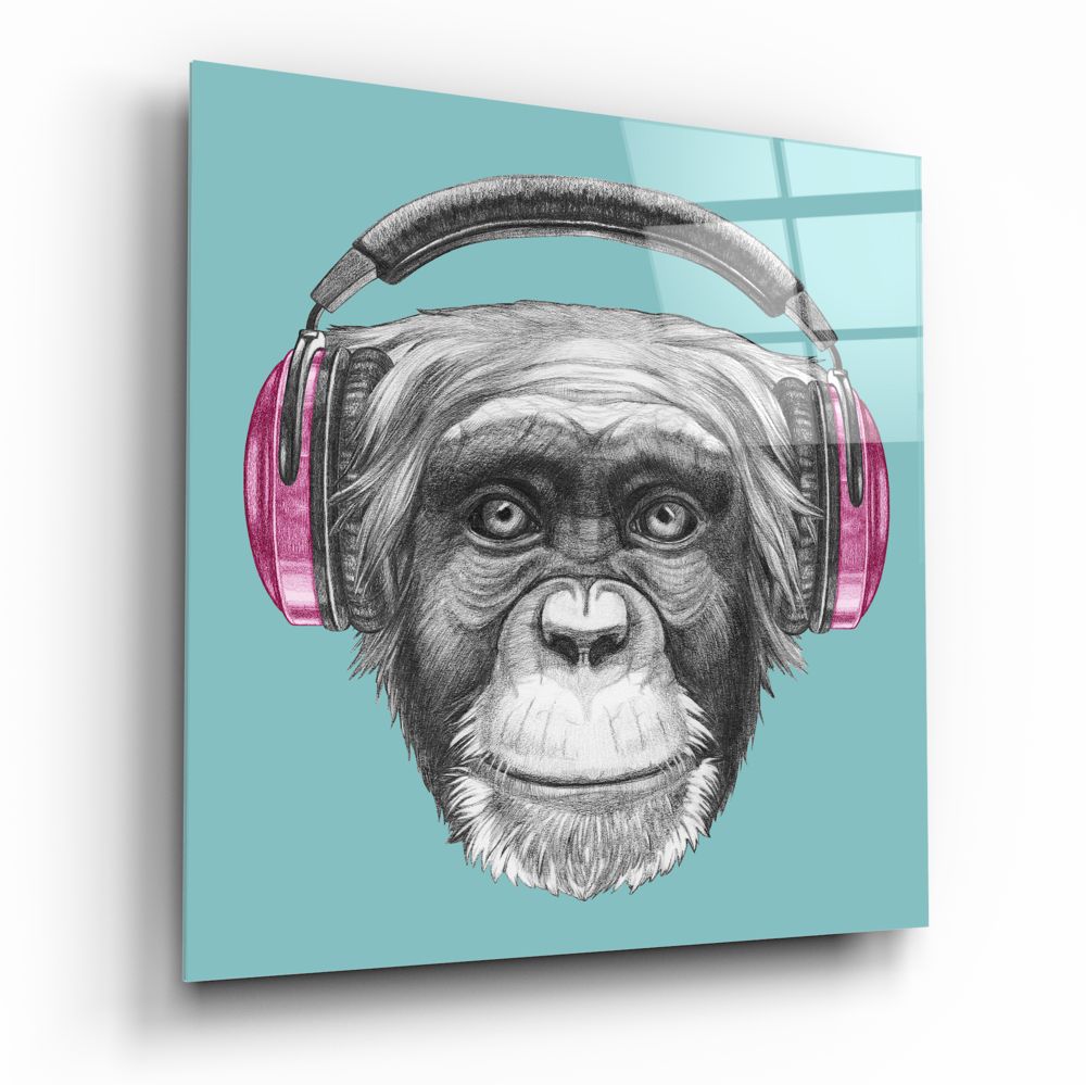 Funny Monkey with Headphones - Cute Plush Animal Toy for Kids & Adults - Perfect for Gifts, Room Decor, and Stress Relief