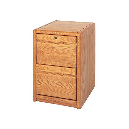 Bowery Hill 2-Drawer Wood File Cabinet in Medium Oak - Commercial Grade Office Storage Solution for Home & Business Organization