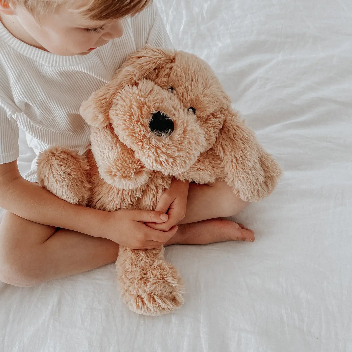 Charlie the Weighted Puppy Dog Sensory Toy & Book Bundle for Kids - Calming Anxiety Relief, Autism & ADHD Therapy - Perfect for Bedtime, Travel & Classroom Use