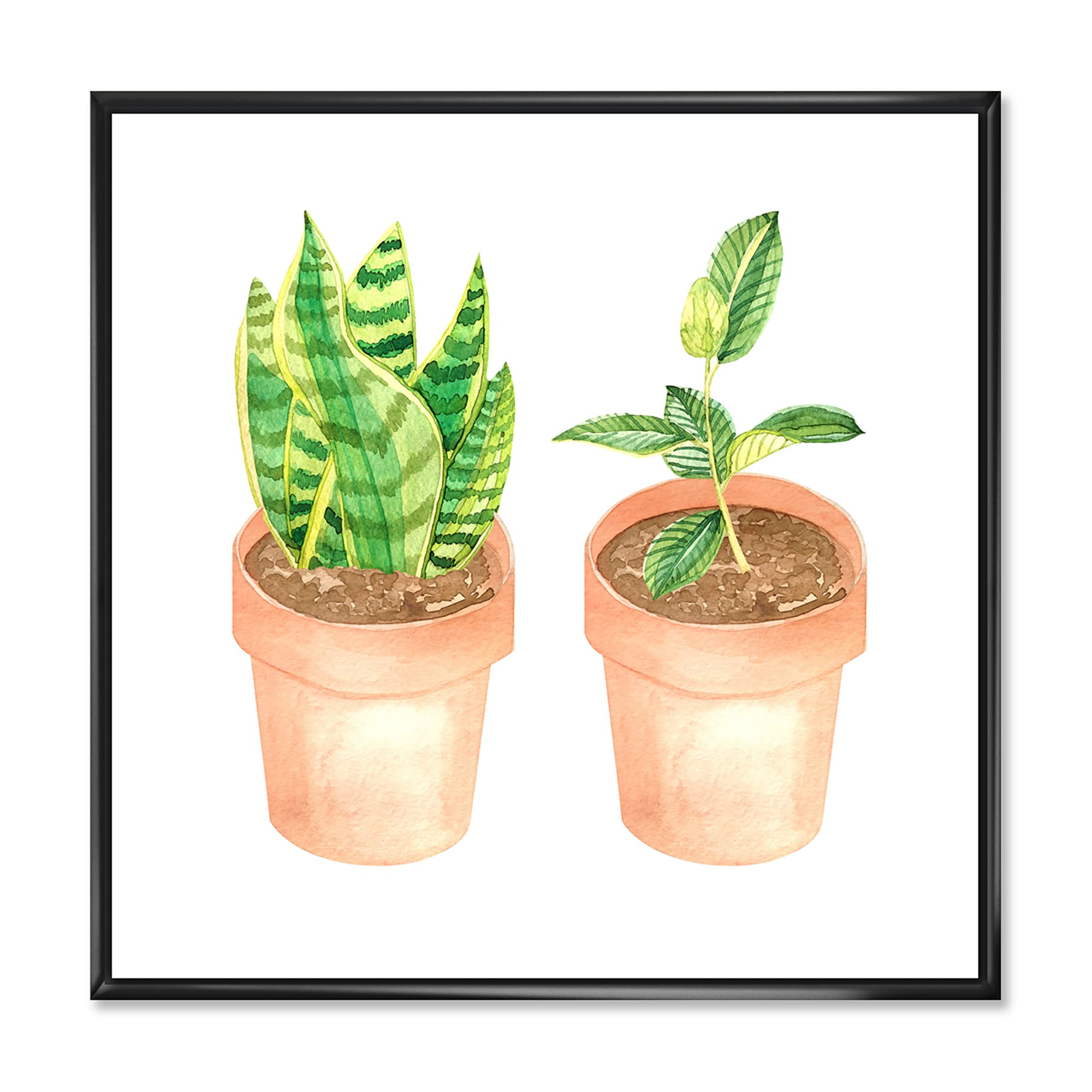Sansevieria & Ficus Indoor Plants - Traditional Framed Canvas Wall Art Print for Home & Office Decor | Perfect for Living Room, Bedroom or Workspace