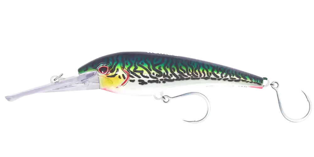 Sardine