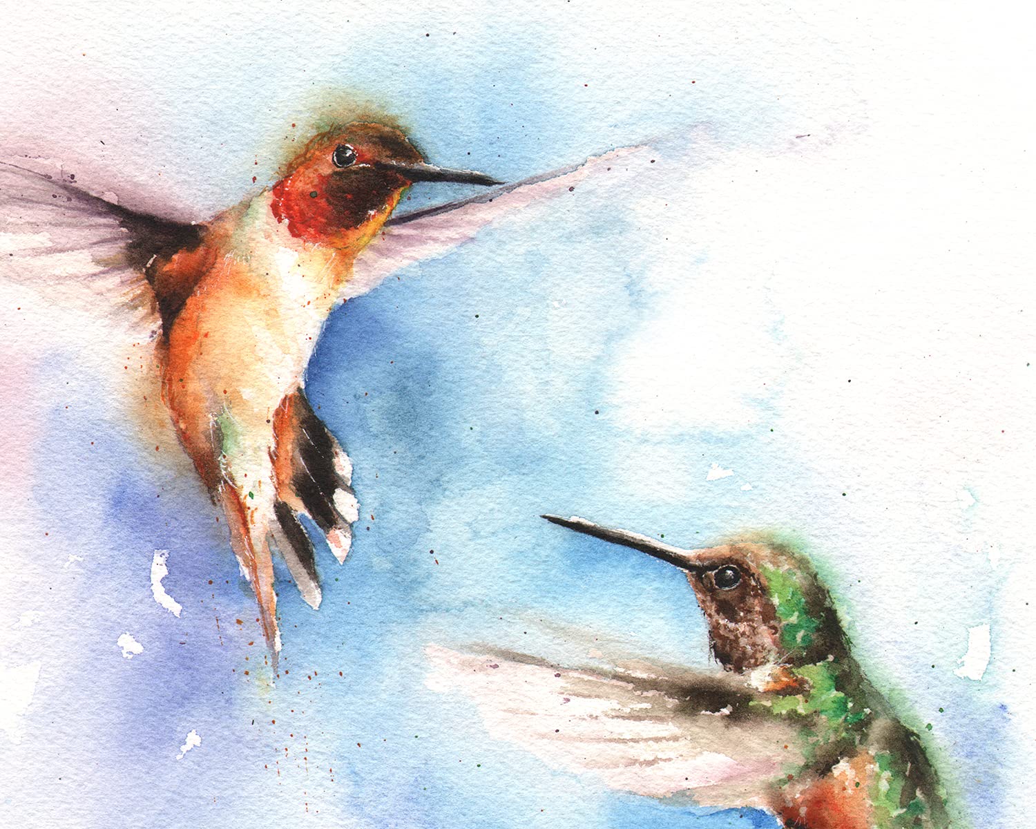 Two Rufous Hummingbirds Wall Art Print by Eric Sweet | Vibrant Orange Bird Painting for Home Decor, Living Room & Office | Nature-Inspired Marmalade Hummingbird Artwork