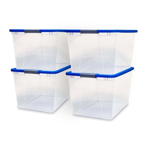 Blue Lid
